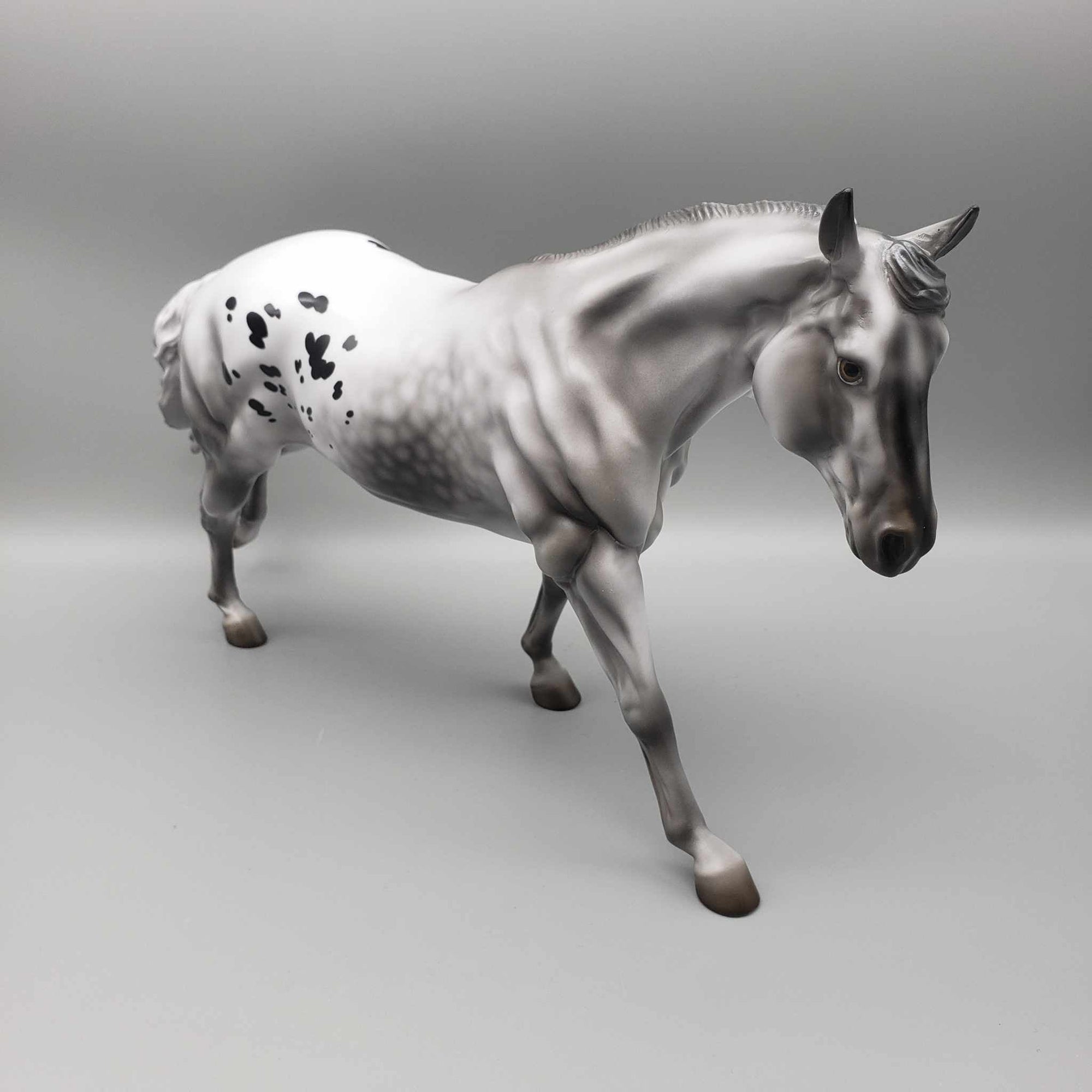 Blitzen OOAK Dappled Black Varnish Appaloosa Remington W/ Long Mane By Jess Hamill Holiday Sale HS23