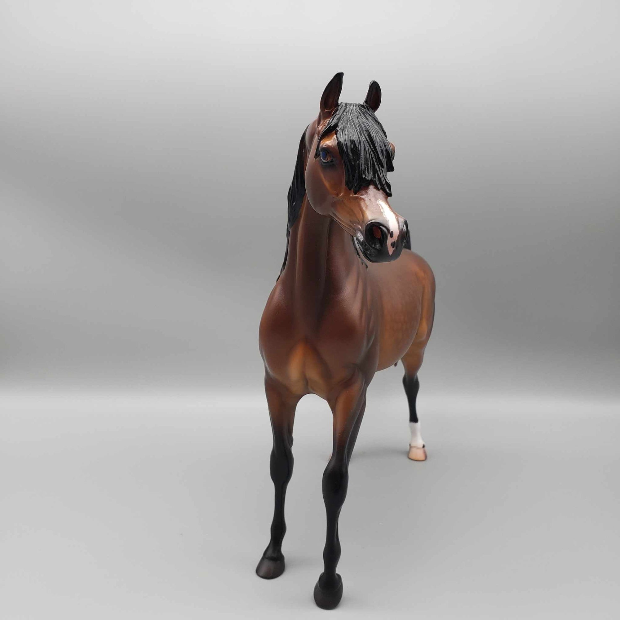 Curtiss OOAK Dappled Bay Arab Stallion By Caroline Boydston Best Offer 11/13/23