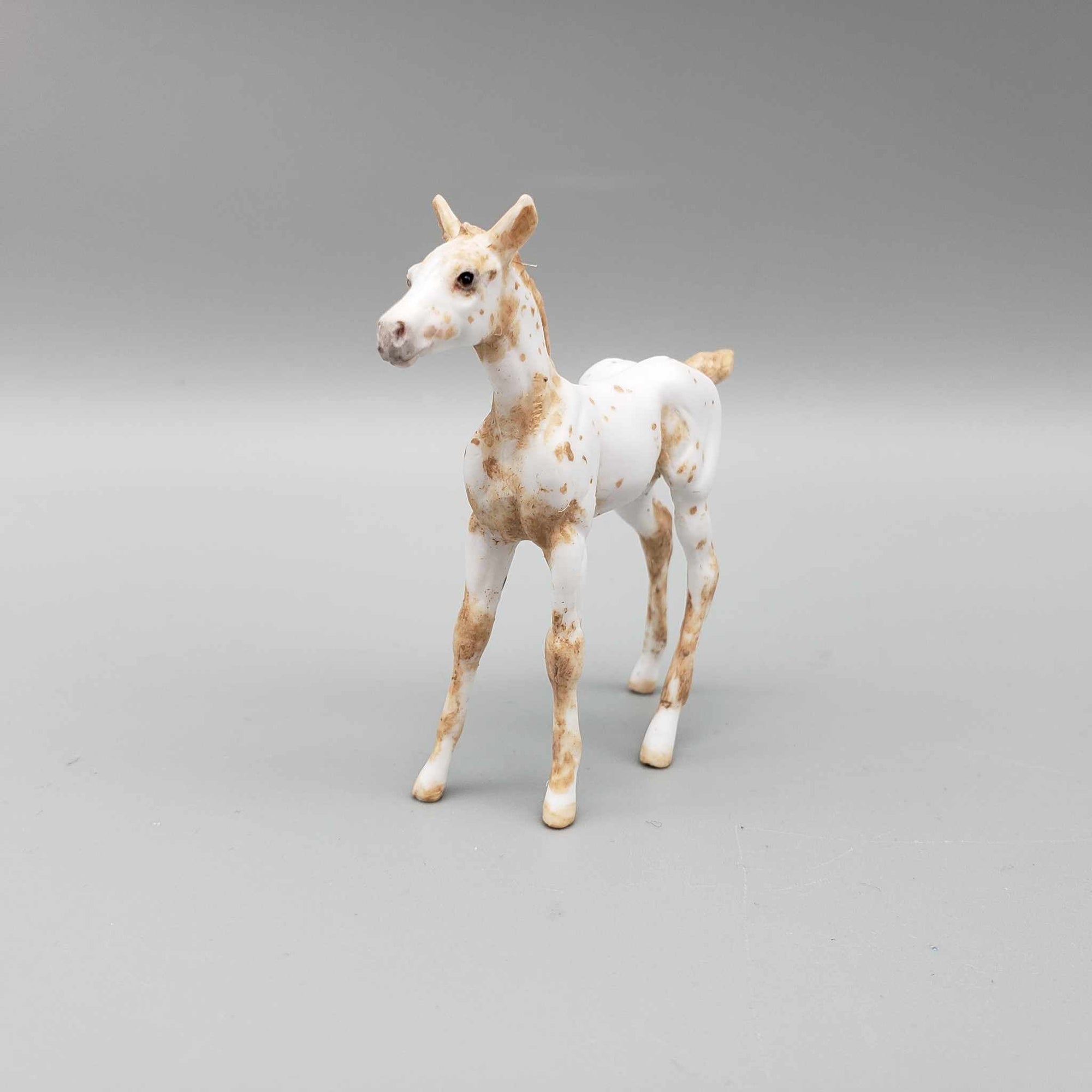 Melrose OOAK Custom Chip Foal Hand Painted and Customized by Andrea Thomason HS23