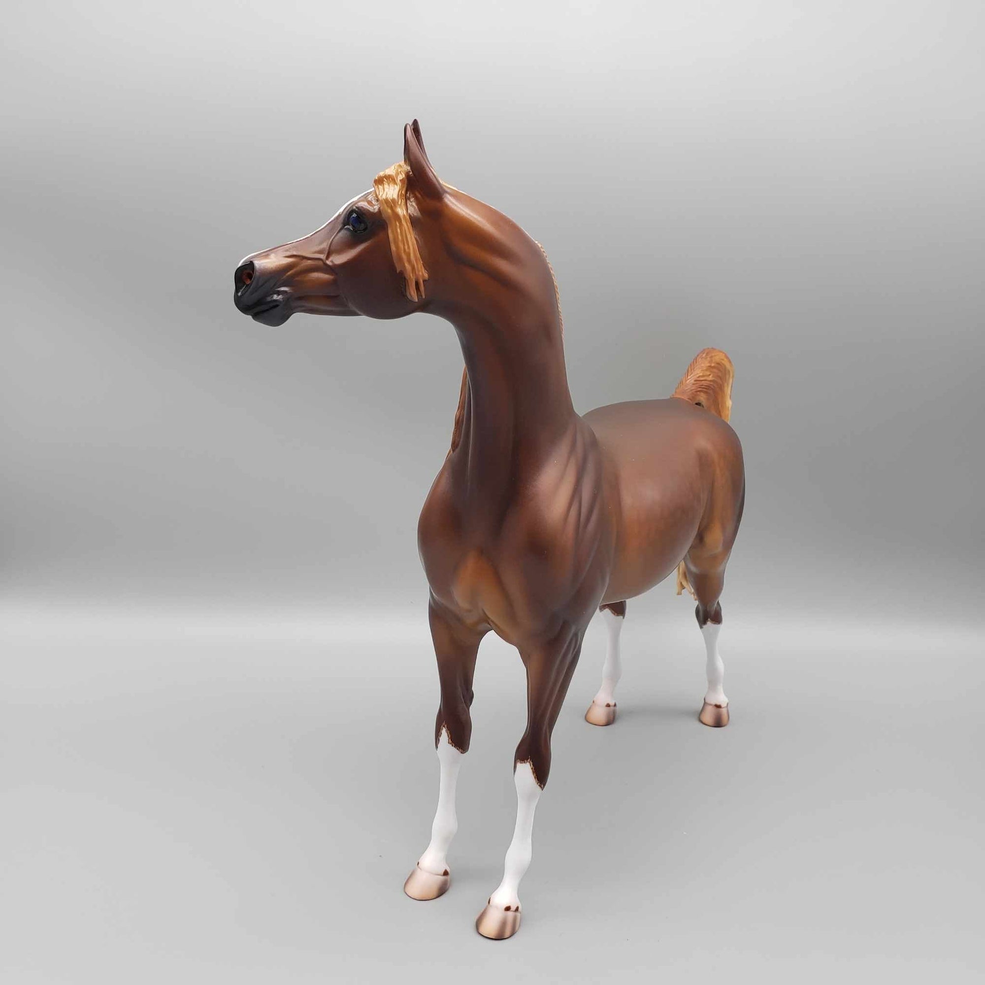 Thunderbolt Dappled Chestnut Arab Stallion By Caroline Boydston Best Offer 11/13/23