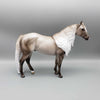 Silver Touch of Winter OOAK Silver Grulla ISH By Ashley Palmer Holiday Best Offers 12/11/23
