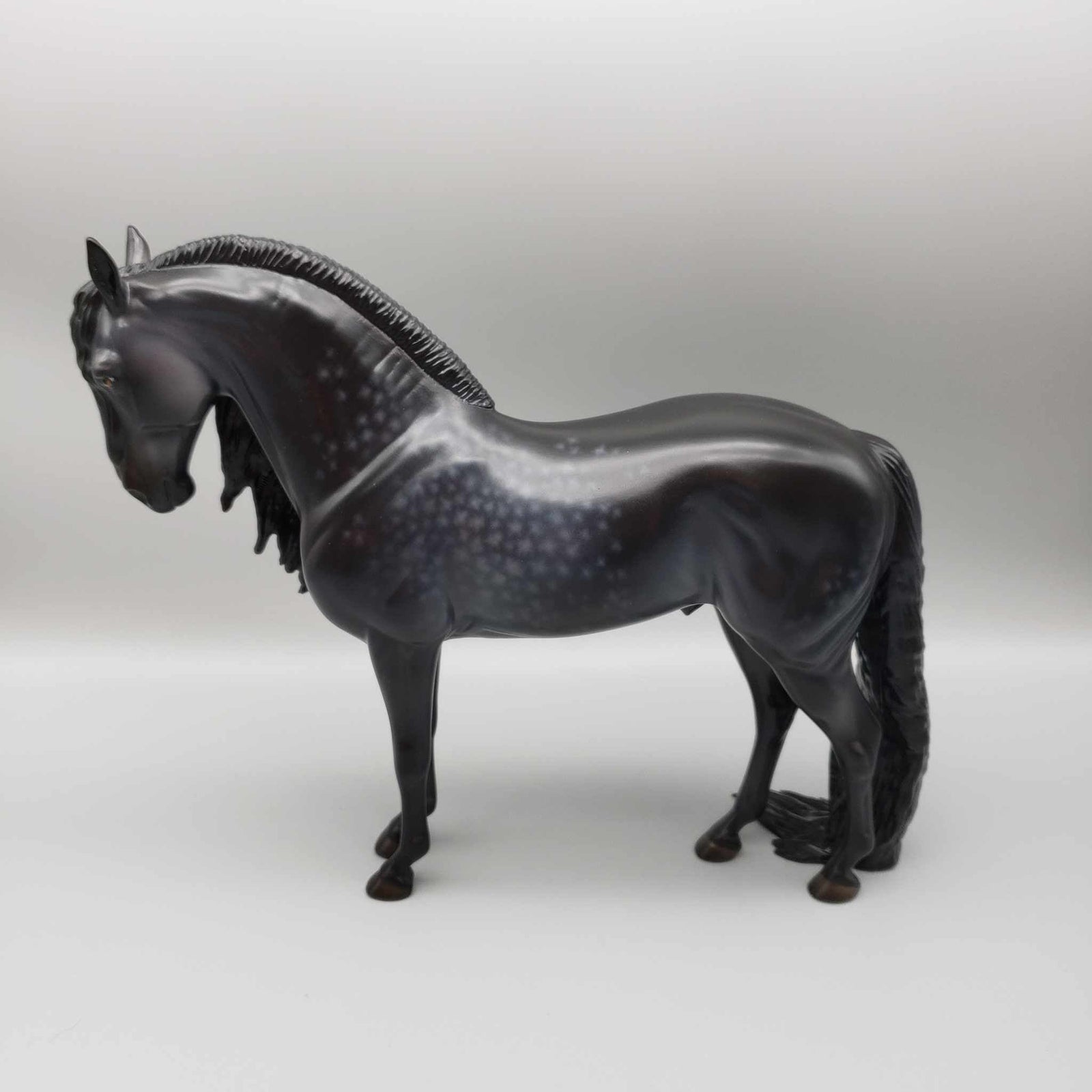 Black Buttons OOAK Star Dappled Black W/ Long Mane & Puddle Tail Andalusian By Jess Hamill Holiday Sale HS23