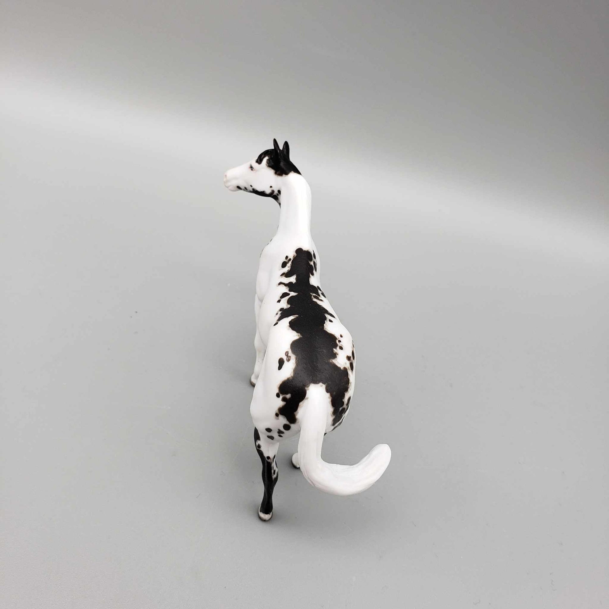 Epicore OOAK Black Overo Custom Stock Chip By Andrea Thomason Holiday Sale HS23