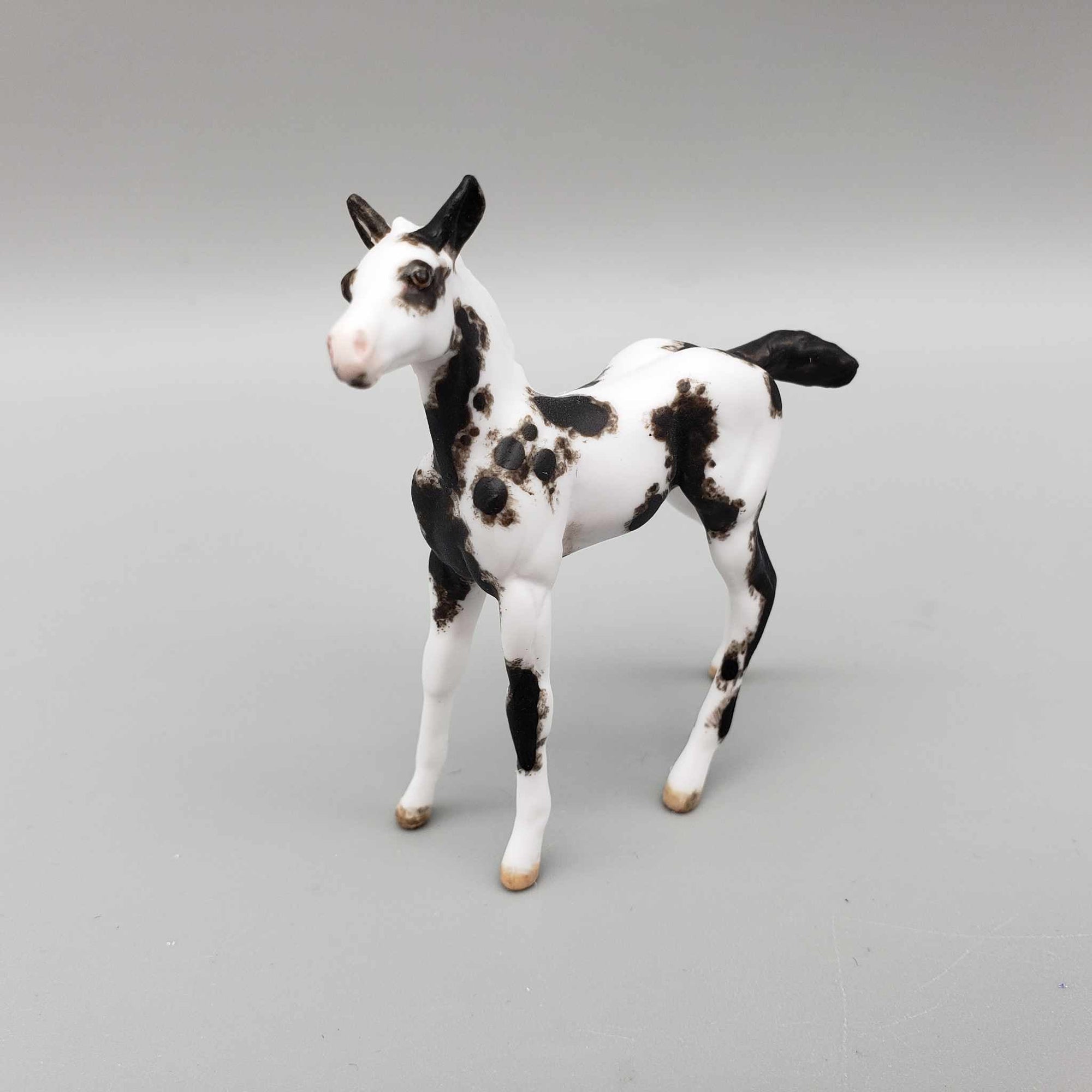 Keepsake OOAK Chip Foal Hand Painted and Customized by Andrea Thomason HS23