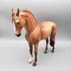 Nutmeg OOAK Red Dun Andalusian By Angela Marleau Holiday Sale HS23