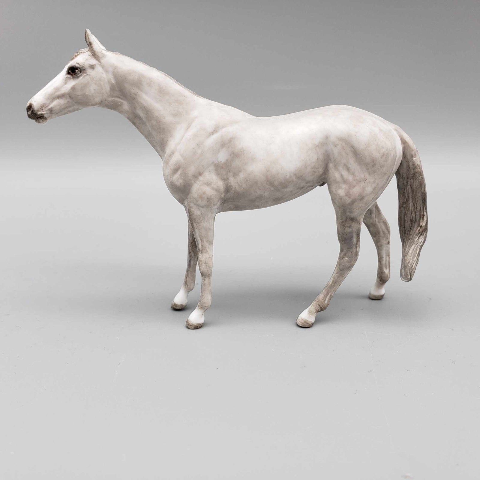 Warners King OOAK Gray Thoroughbred Chip By Andrea Thomason Holiday Sale HS23