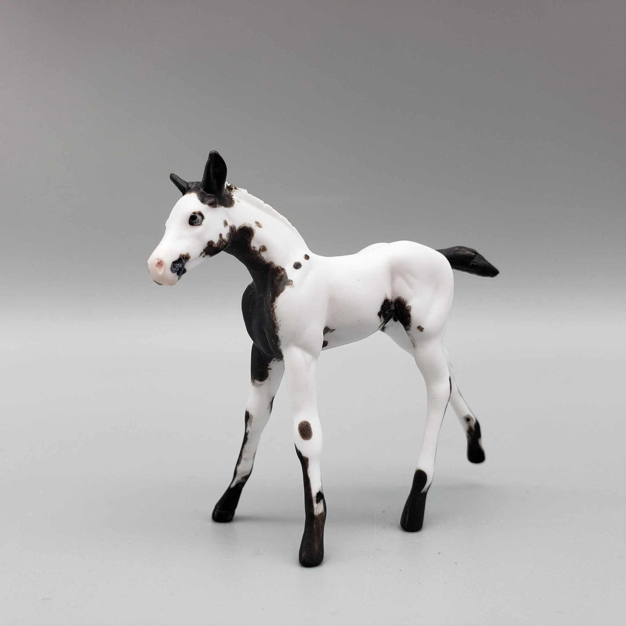 Frisky OOAK Black Tovero Kicking Chip Foal Hand Painted and Customized by Andrea Thomason HS23