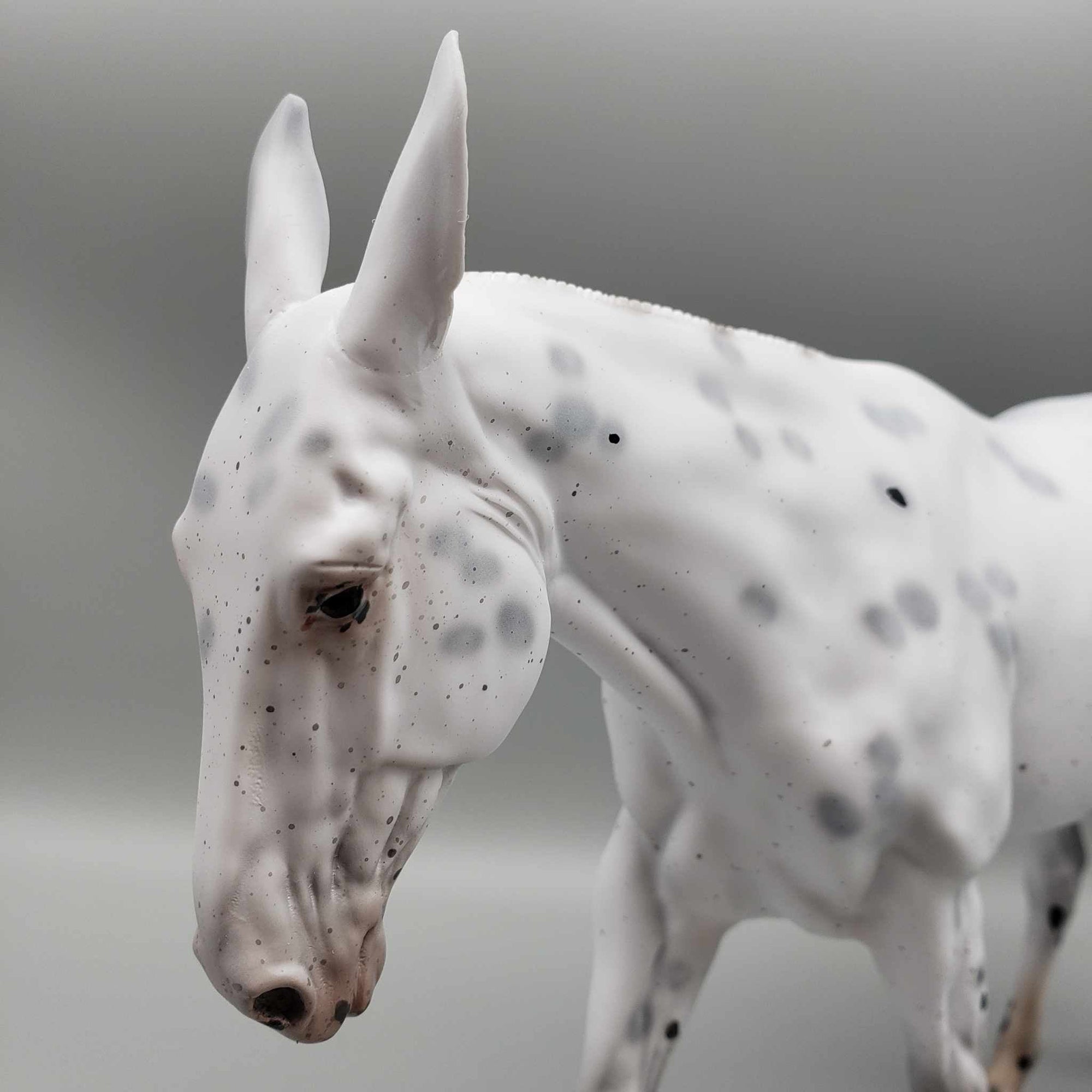 Ebenezer Scrooge from A Christmas Carol LE-31 Black Appaloosa Going Grey Pinned Ear Gelding Mule 😍 By Ellen Robbins Classic Literature 2023 CL23