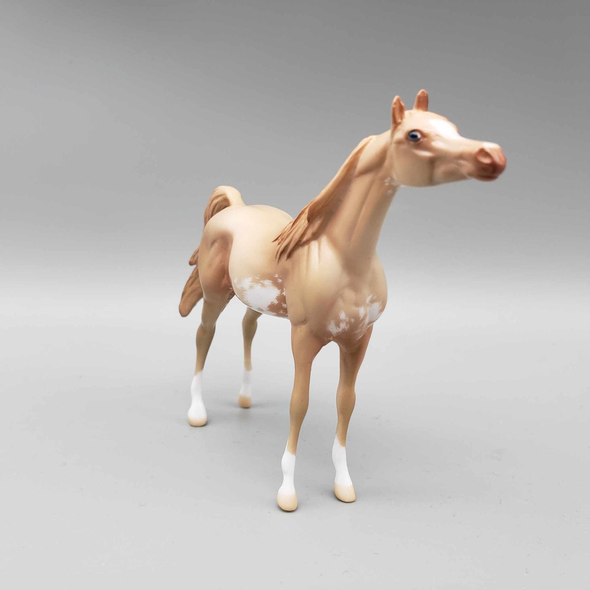 Dreams of the Future OOAK Champagne Sabino Arabian Chip By Jess Hamill New Year Sales Collection NY23
