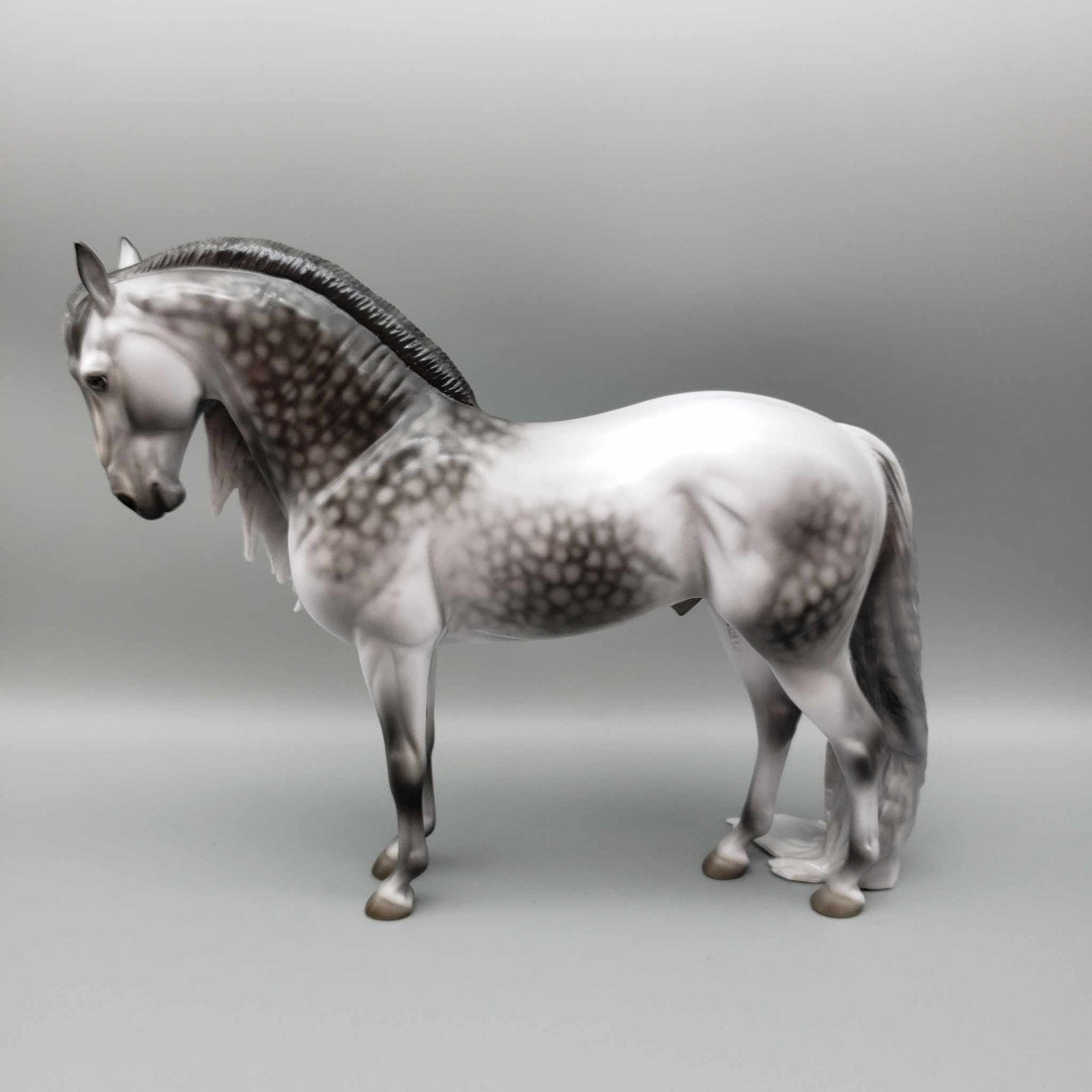 Snow Shower OOAK Dappled Gray W/ Long Mane & Puddle Tail Andalusian By Jess Hamill Holiday Sale HS23