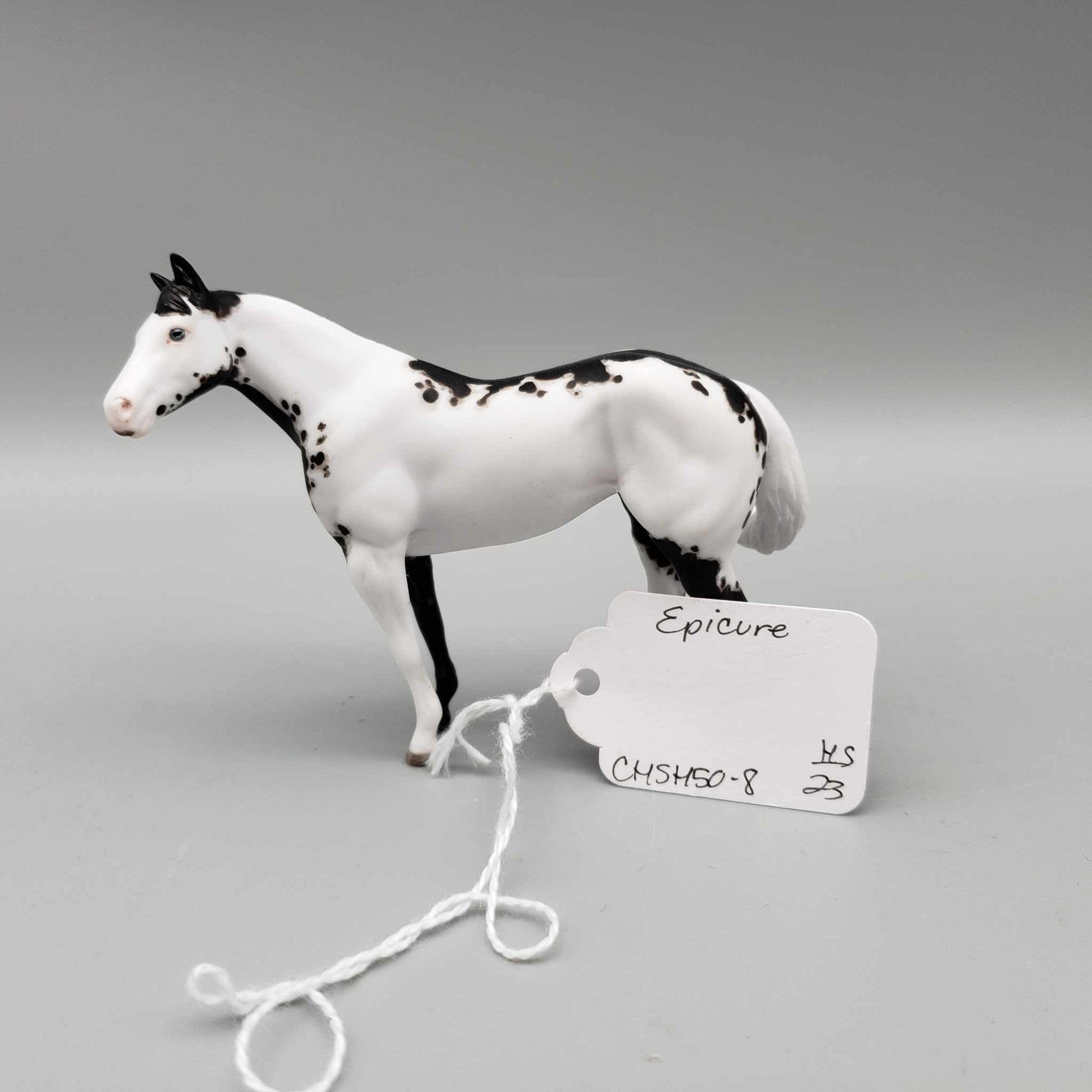 Epicore OOAK Black Overo Custom Stock Chip By Andrea Thomason Holiday Sale HS23