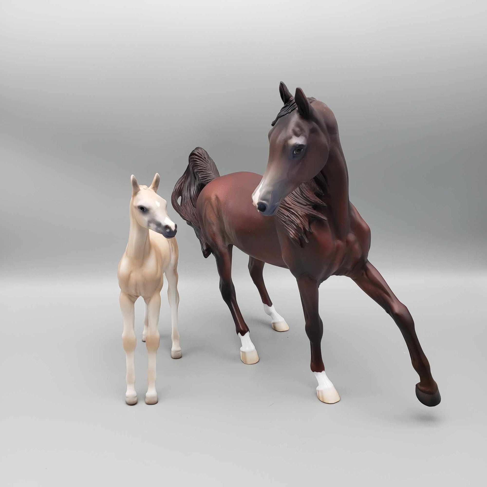 Peppermint Cocoa LE 15 Run Liver Chestnut with Rabicano Arab Mare By Jess Hamill Holiday Sale HS23