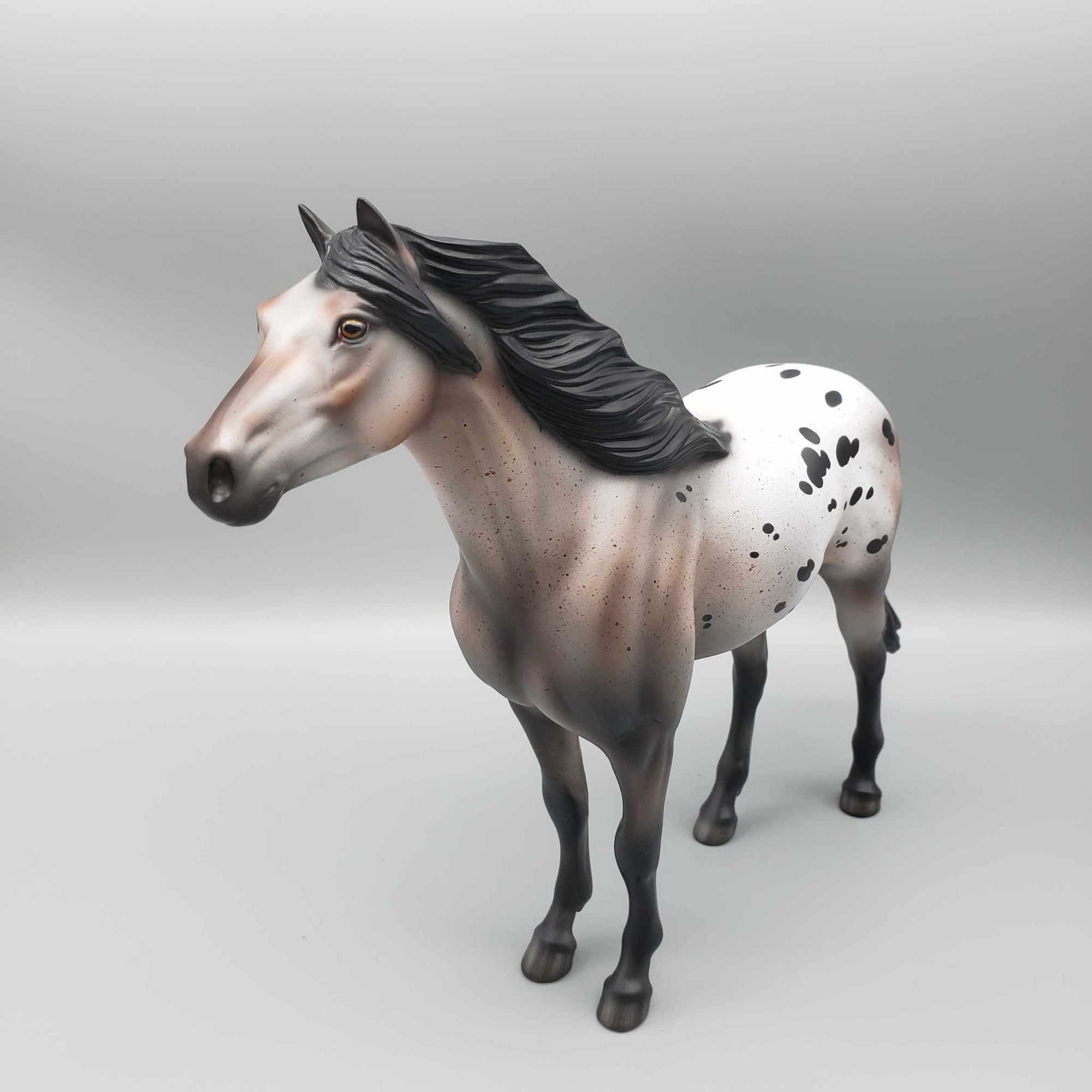 Wishes at Midnight OOAK Varnish Roan Mustang By Jess Hamill Holiday Sale HS23