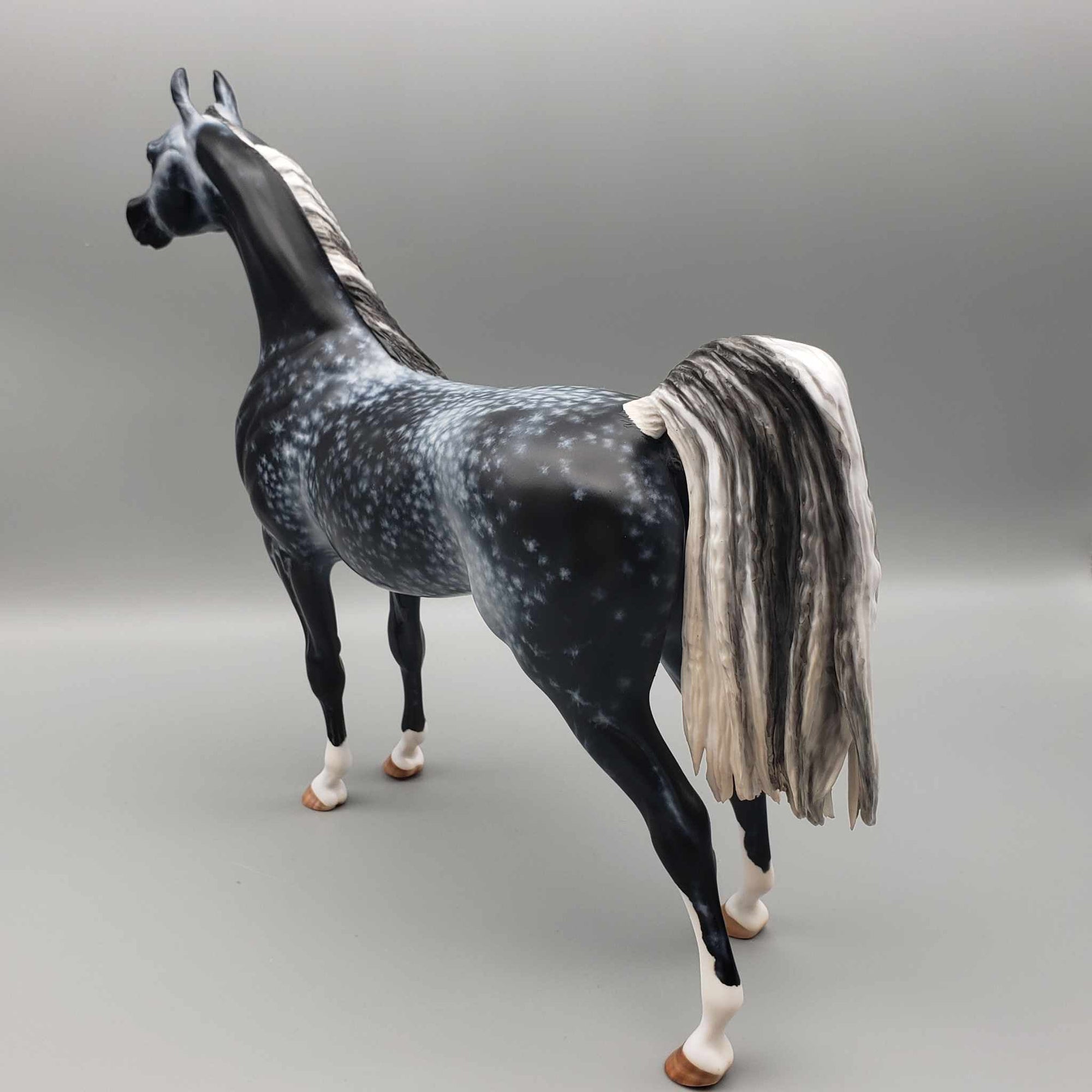 Khosmopolitan OOAK Dappled Grey Arab Stallion By Myla Pearce Best Offers 10/09/23