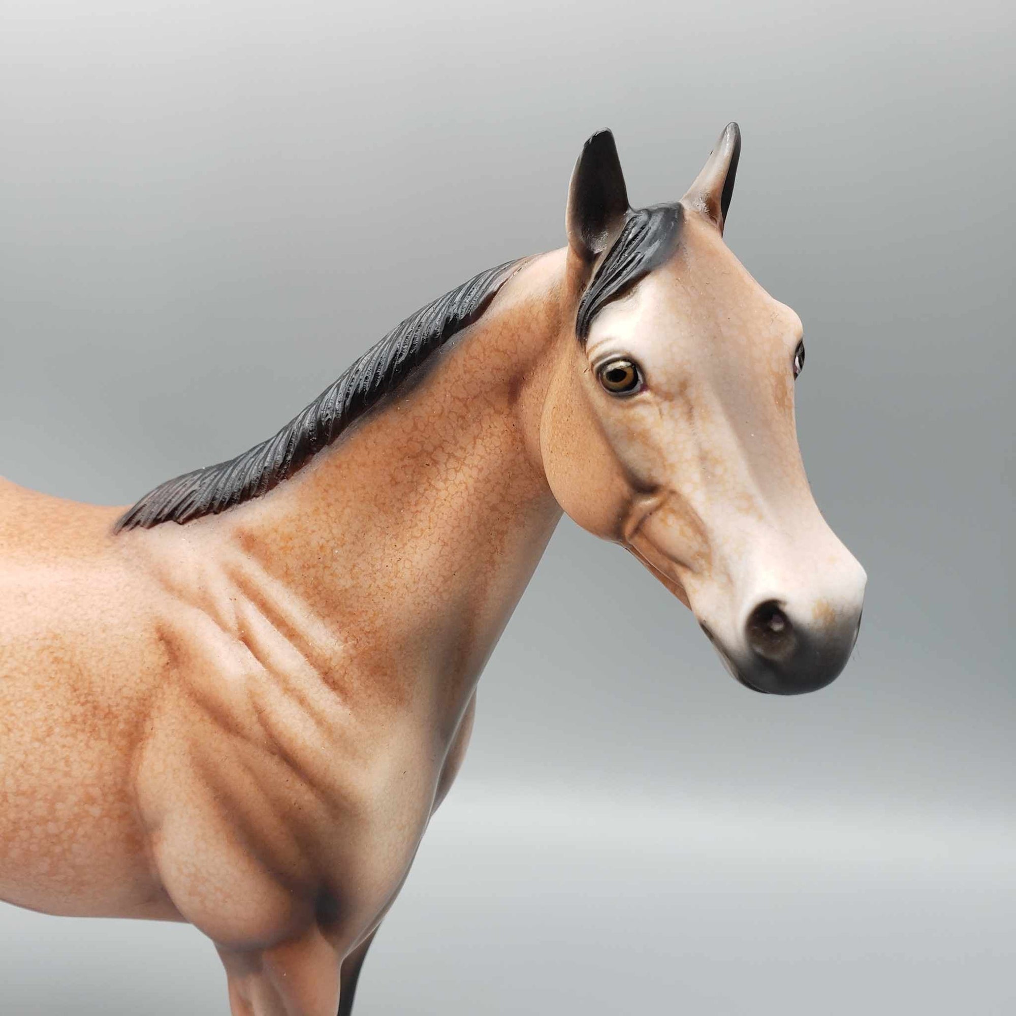 Spice OOAK Bay Appaloosa Ideal Stock Horse By Dawn Quick MM23