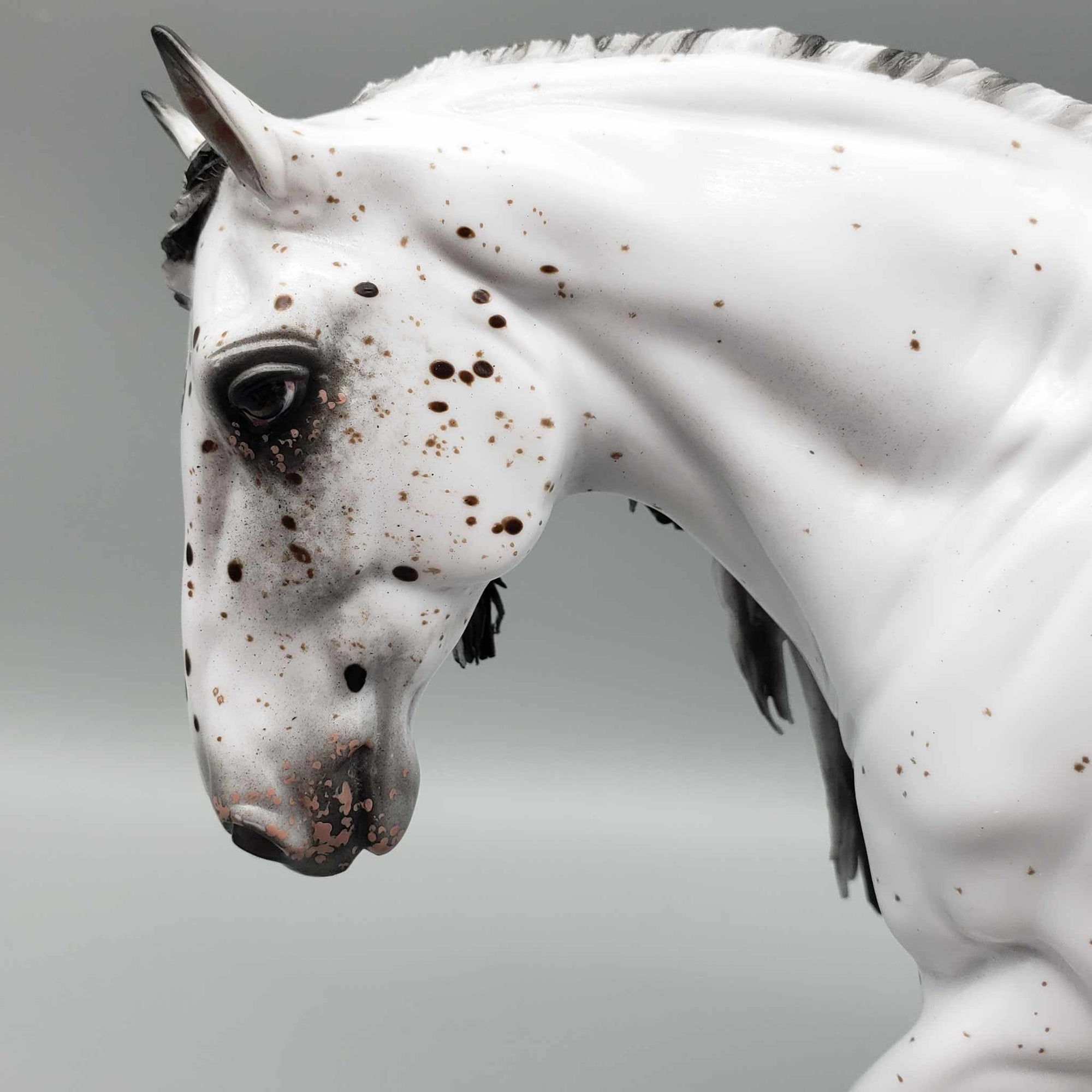 Root Beer Float OOAK Bay Leopard Appaloosa Cob By Myla Pearce Best Offers 10/09/23