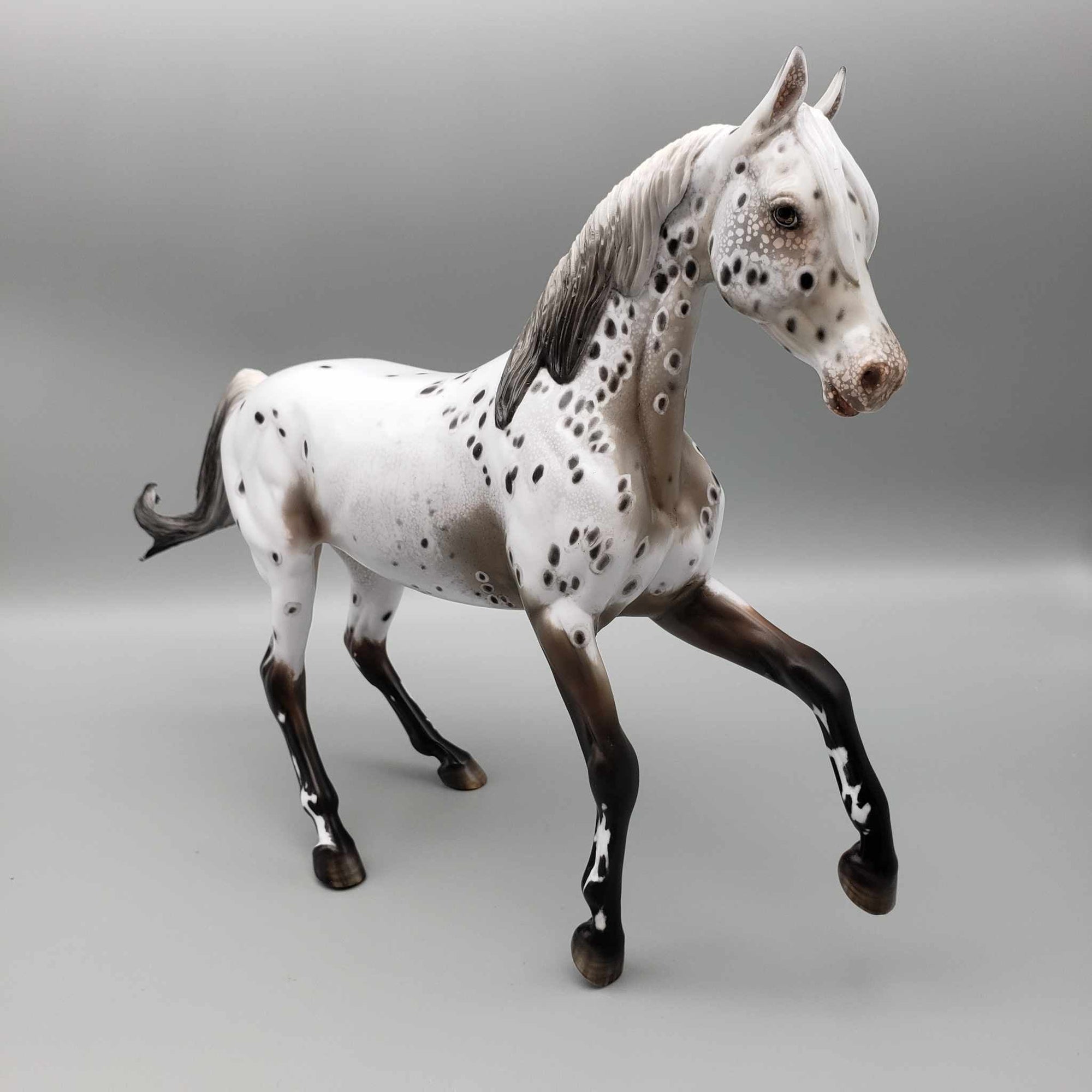 Zhabeau OOAK Bay Appaloosa Arab Mare By Myla Pearce Best Offers 10/16/23