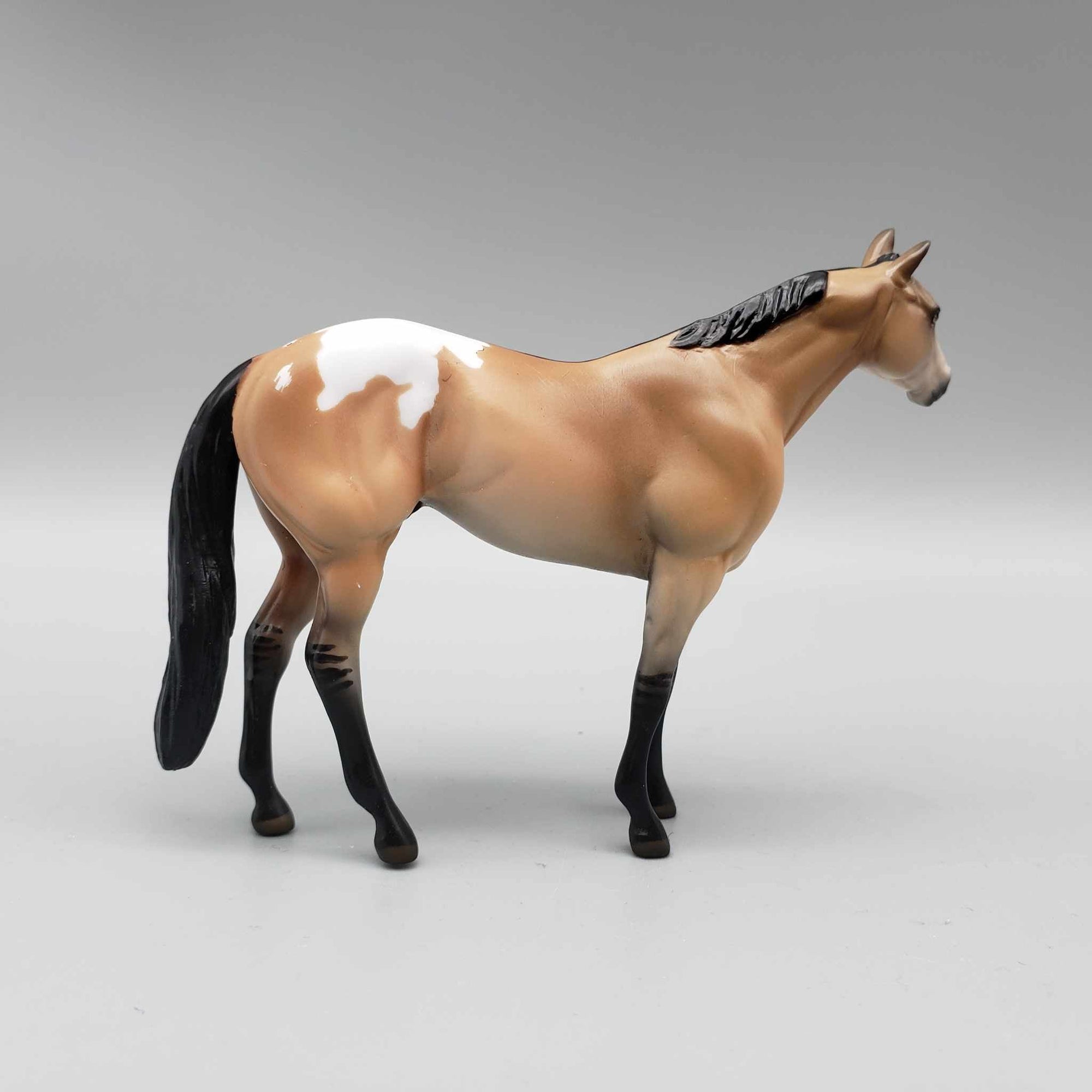 Cedar OOAK Dun Appaloosa Stock Chip By Hannah Olson Holiday Sale HS23