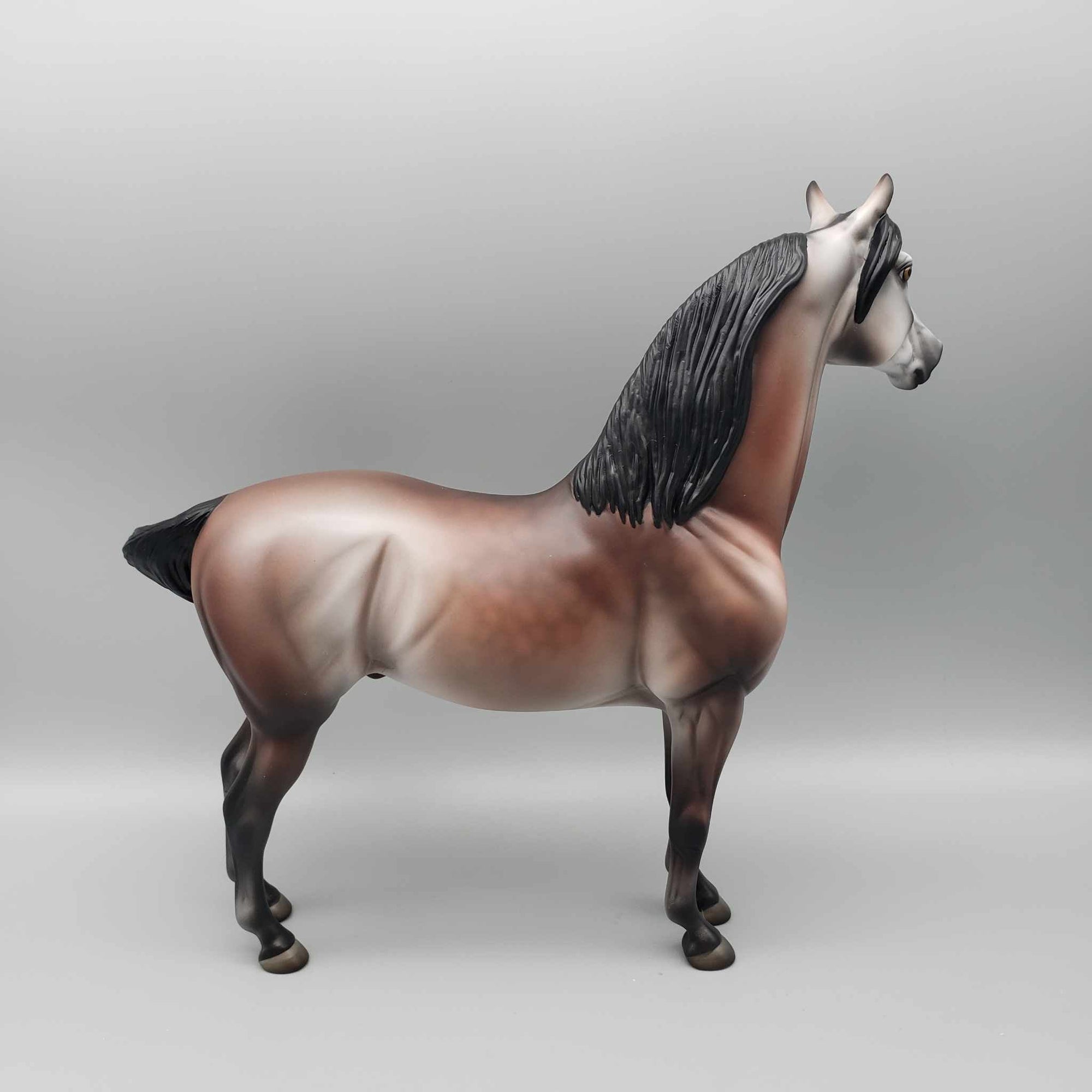 Jolly LE 15 Run Bay Going Grey Morgan By Jess Hamill Holiday Sale HS23