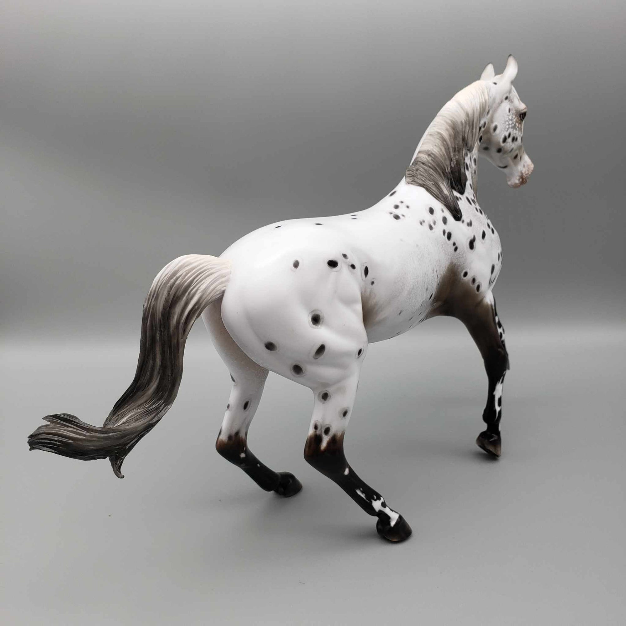 Zhabeau OOAK Bay Appaloosa Arab Mare By Myla Pearce Best Offers 10/16/23