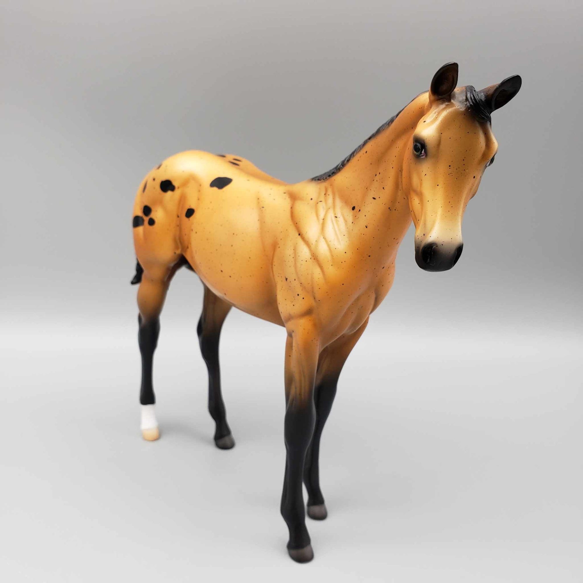 Life Is Gourd OOAK Halloween Deco Orange Appaloosa Weanling Pebble By Angela Marleau Moonlight Madness 2023 MM23