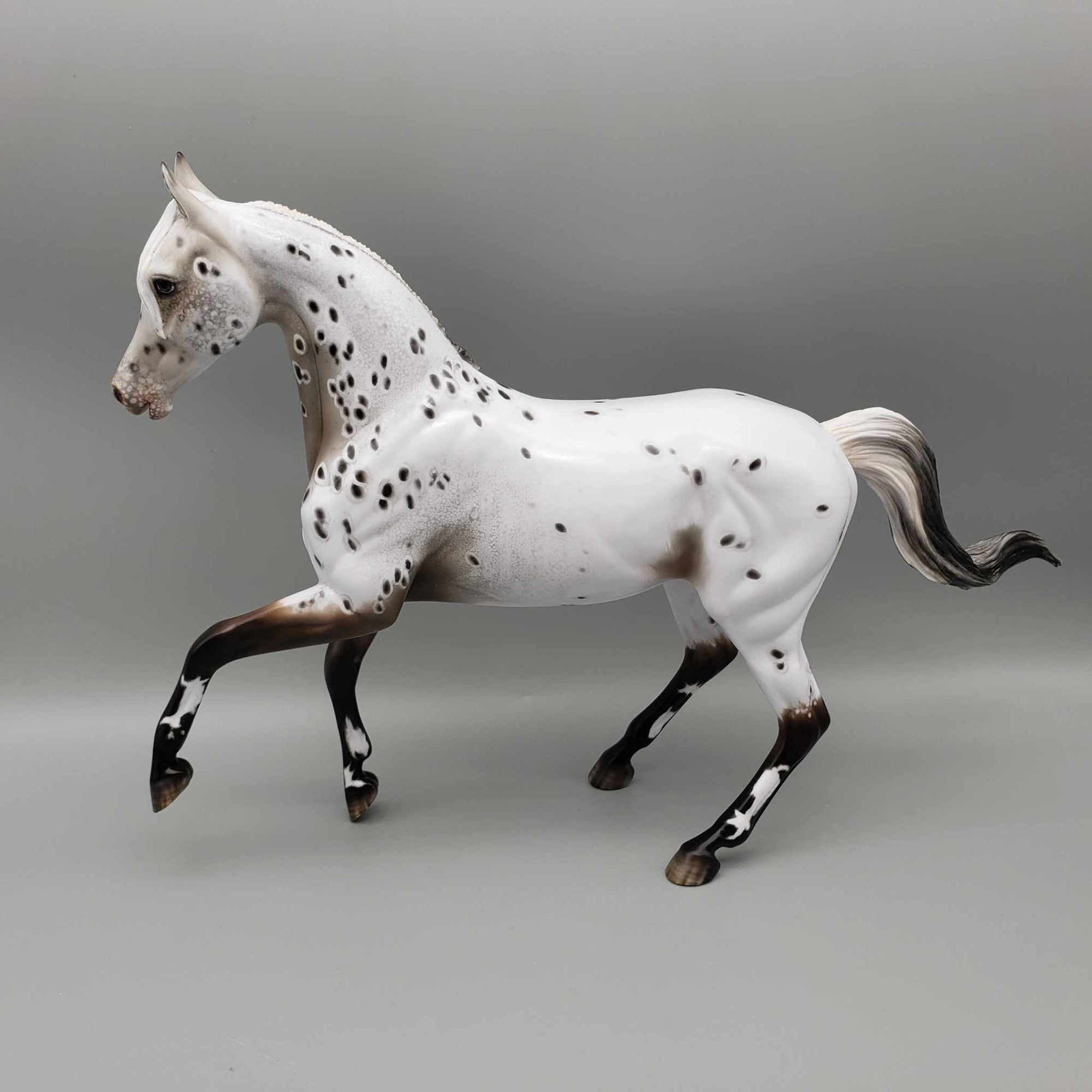 Zhabeau OOAK Bay Appaloosa Arab Mare By Myla Pearce Best Offers 10/16/23