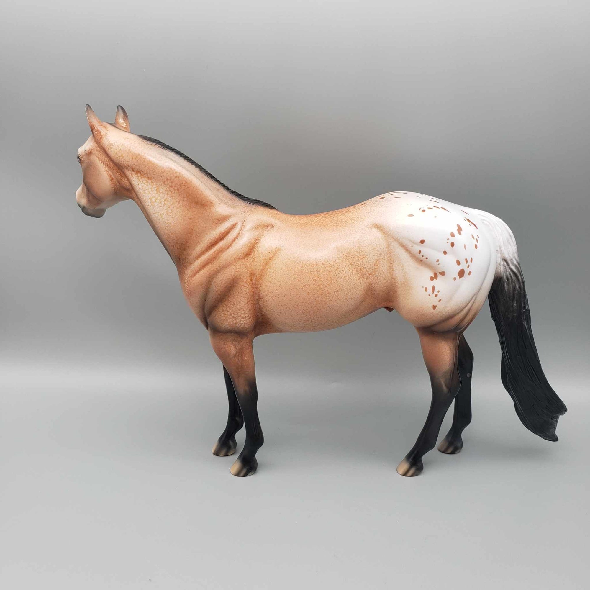 Spice OOAK Bay Appaloosa Ideal Stock Horse By Dawn Quick MM23
