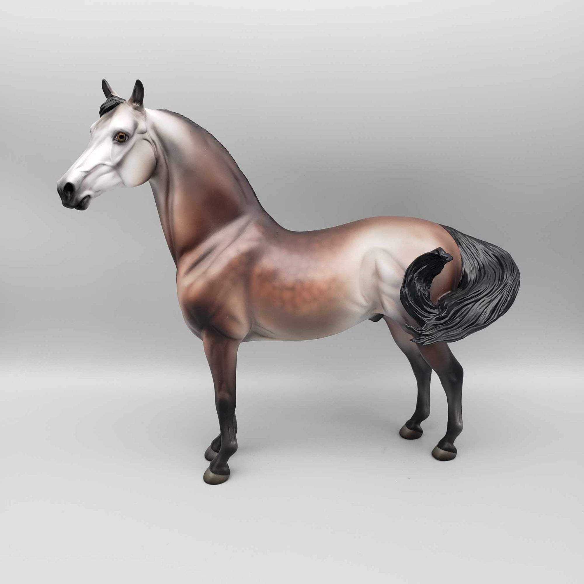 Jolly LE 15 Run Bay Going Grey Morgan By Jess Hamill Holiday Sale HS23