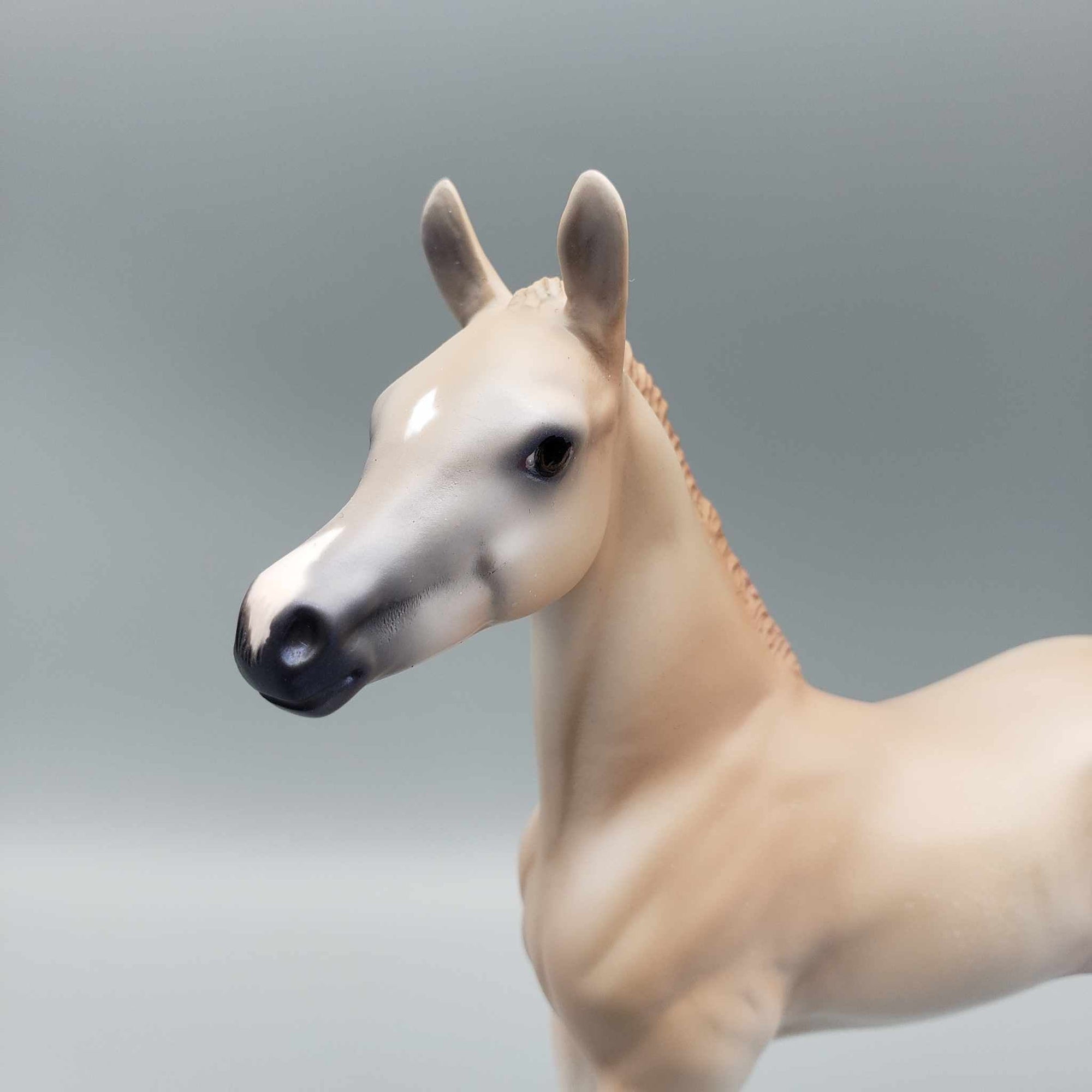 Sample of Cinnamon Cookie Light Chestnut Arab Foal By Jess Hamill Holiday Sale HS23 SAMPLE