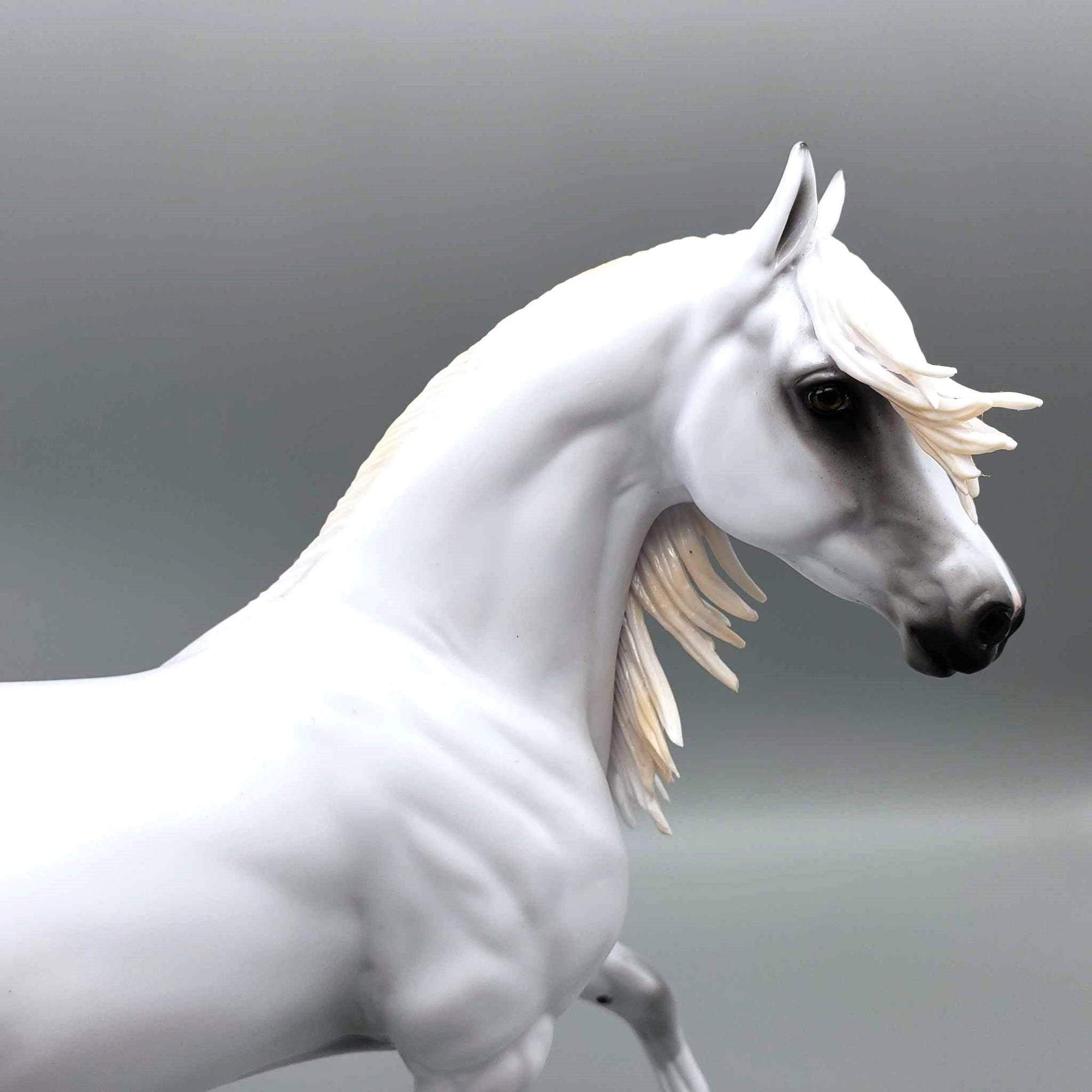 Whisper OOAK Bay Appaloosa Arab Mare By Myla Pearce Best Offers 10/16/23