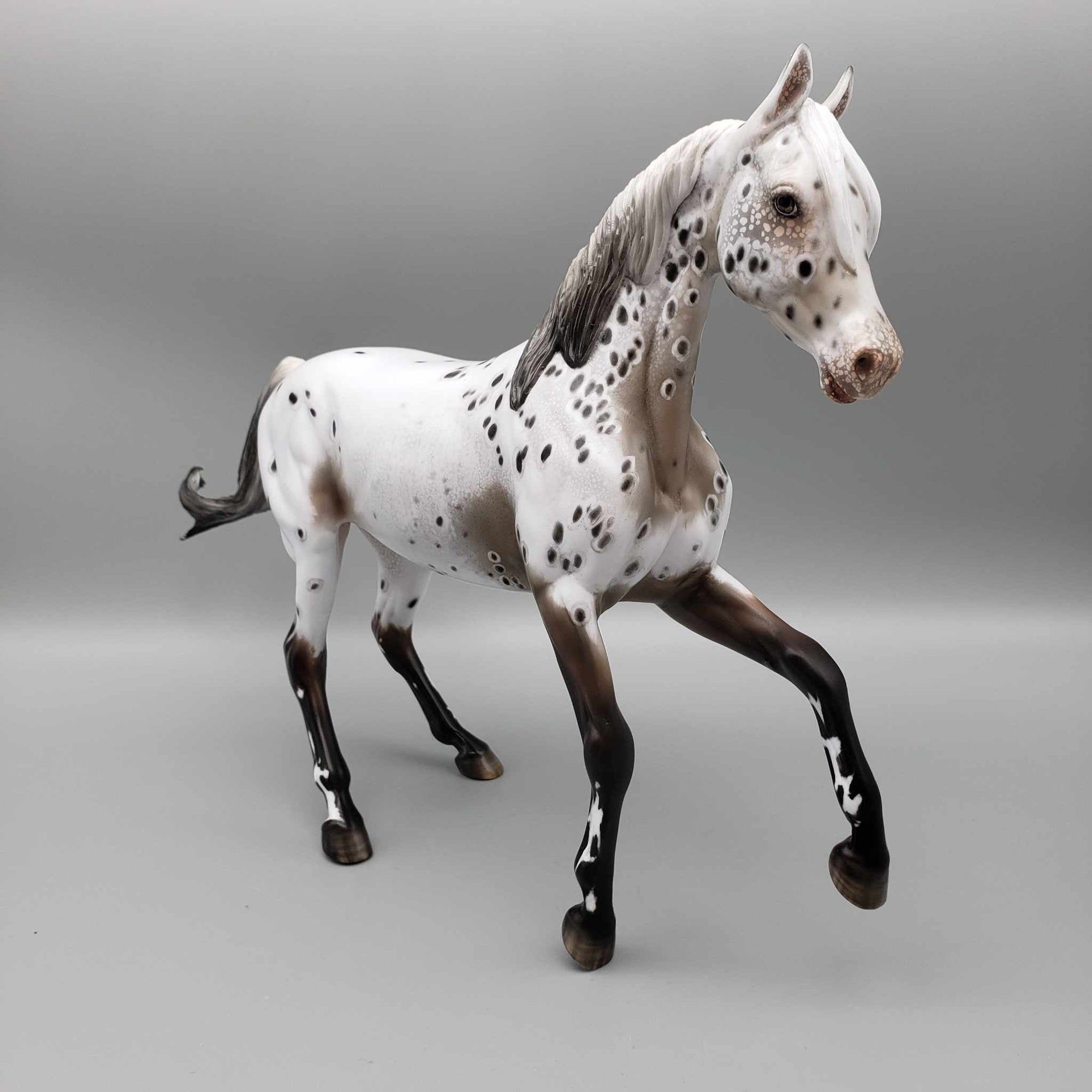 Zhabeau OOAK Bay Appaloosa Arab Mare By Myla Pearce Best Offers 10/16/23