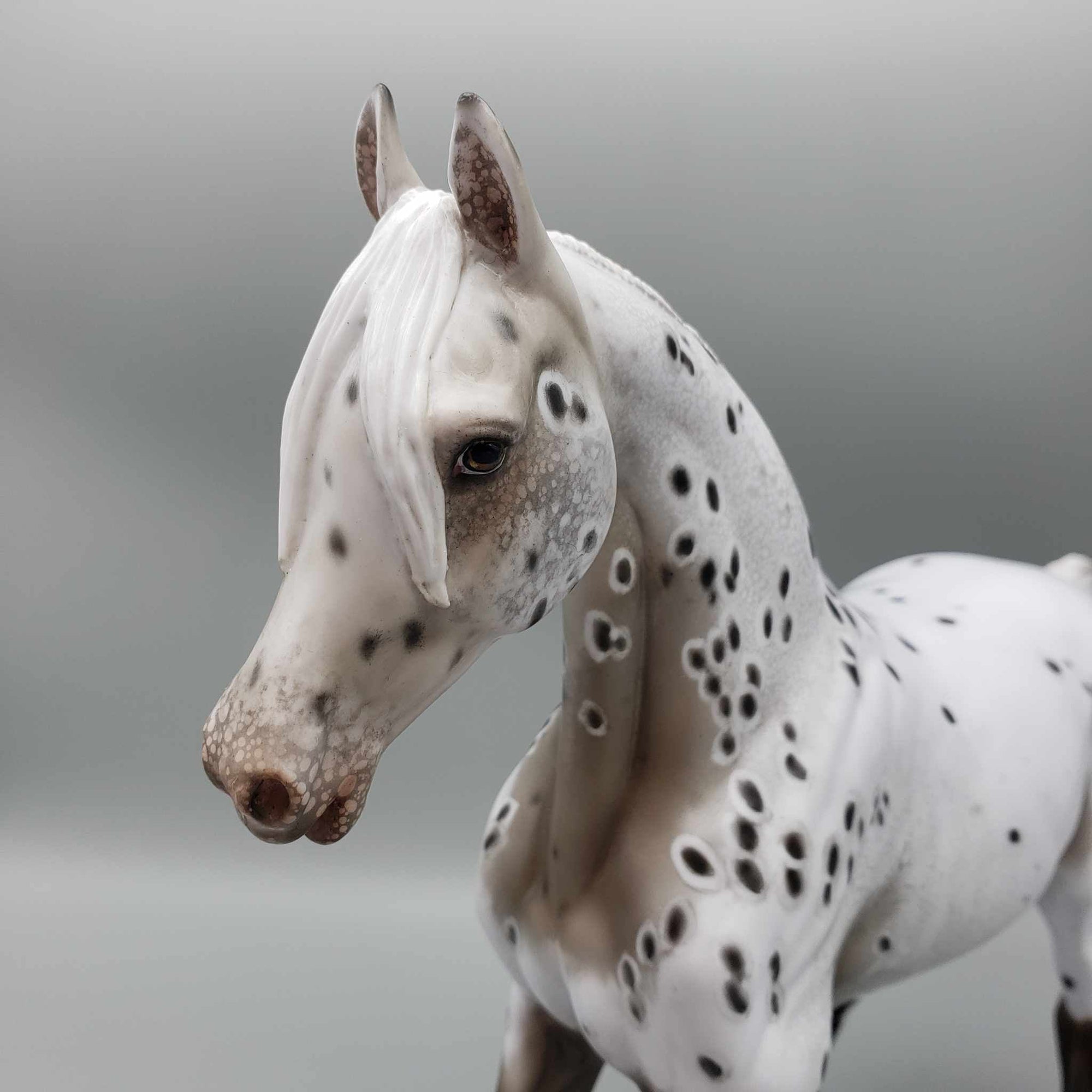 Zhabeau OOAK Bay Appaloosa Arab Mare By Myla Pearce Best Offers 10/16/23