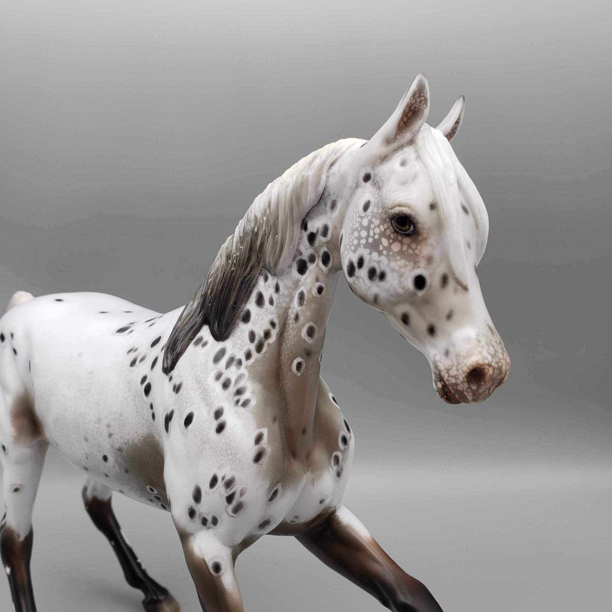 Zhabeau OOAK Bay Appaloosa Arab Mare By Myla Pearce Best Offers 10/16/23