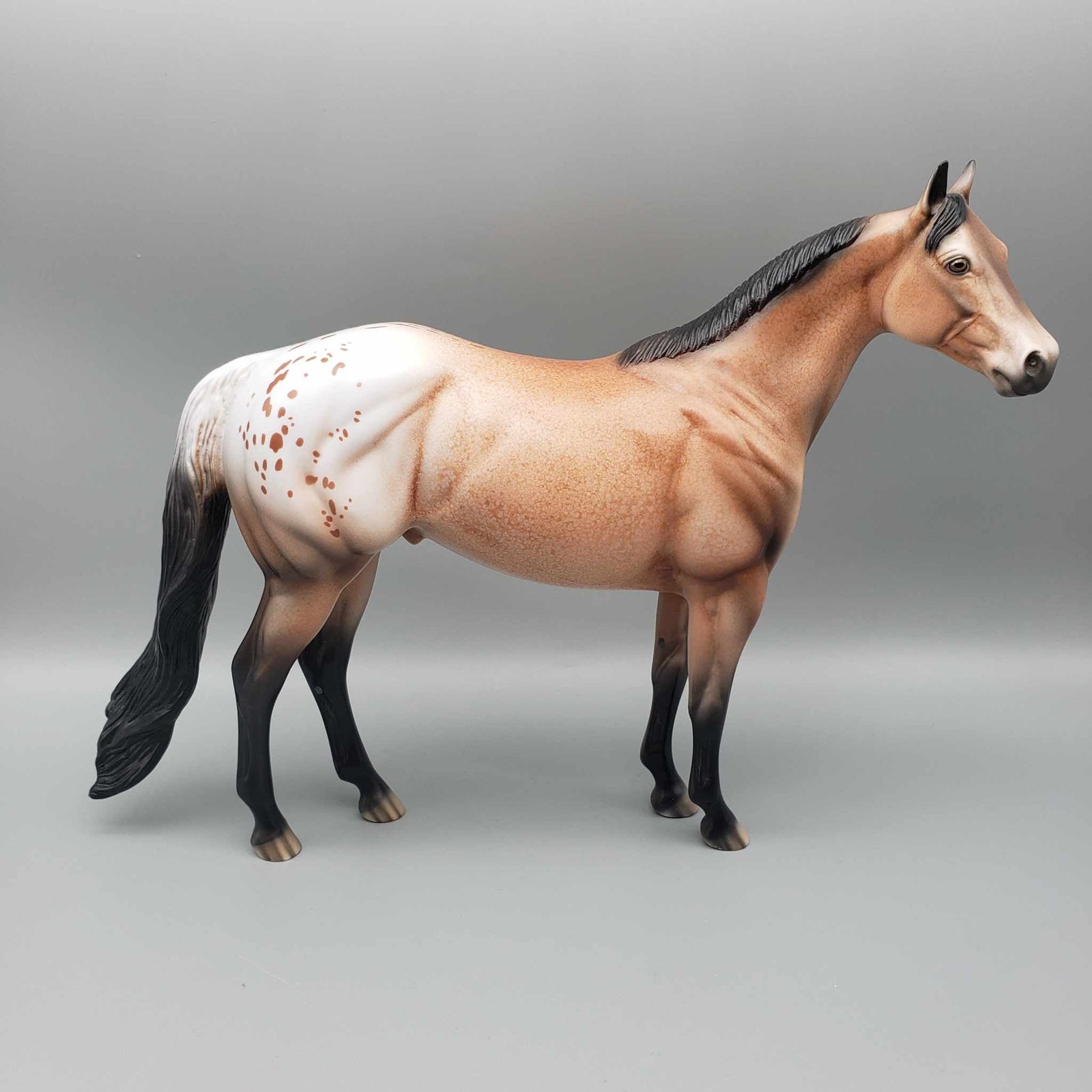 Spice OOAK Bay Appaloosa Ideal Stock Horse By Dawn Quick MM23