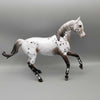 Zhabeau OOAK Bay Appaloosa Arab Mare By Myla Pearce Best Offers 10/16/23