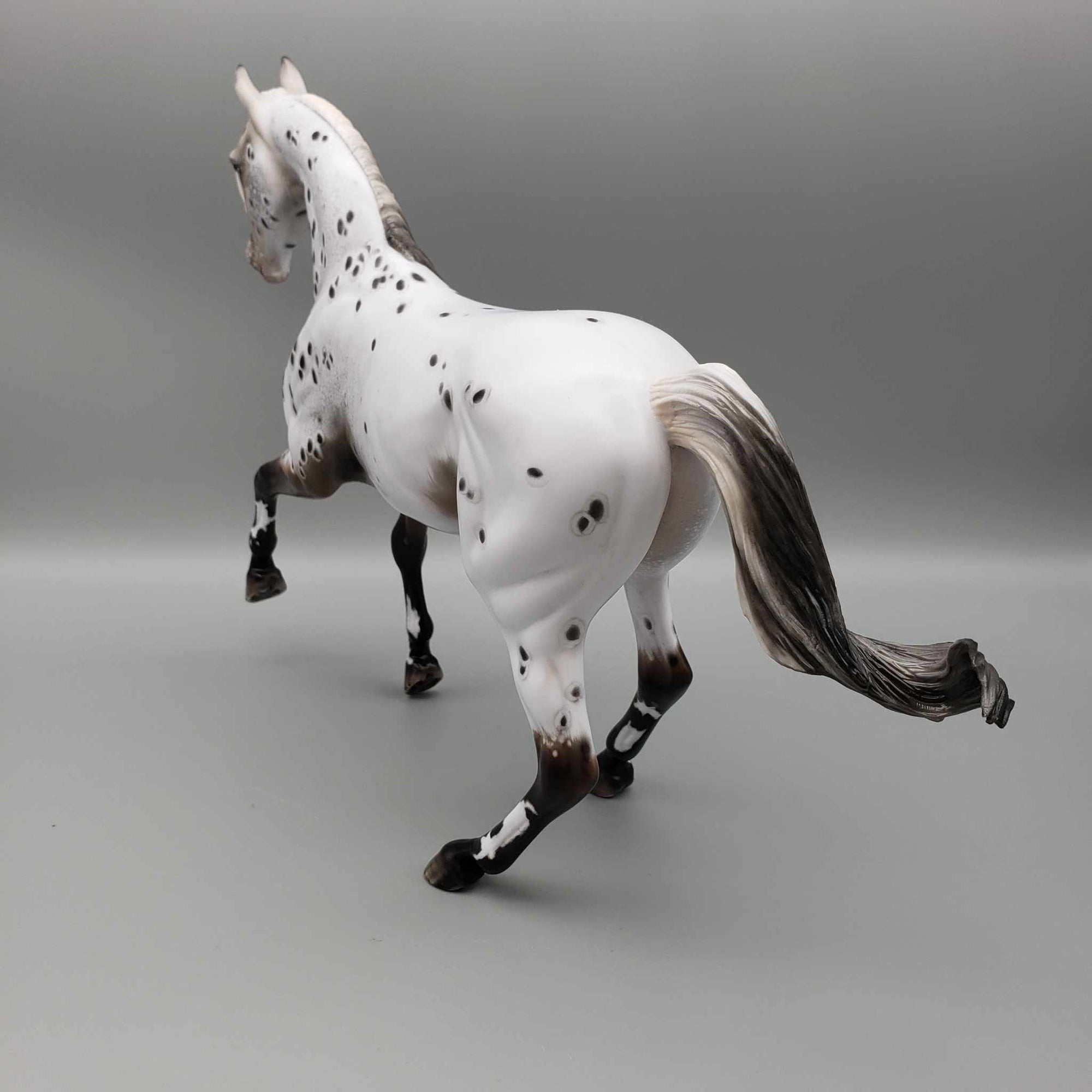 Zhabeau OOAK Bay Appaloosa Arab Mare By Myla Pearce Best Offers 10/16/23