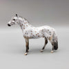 Storm OOAK Buckskin Leopard Appaloosa Andalusian Chip By Dawn Quick Moonlight Madness 2023 MM23