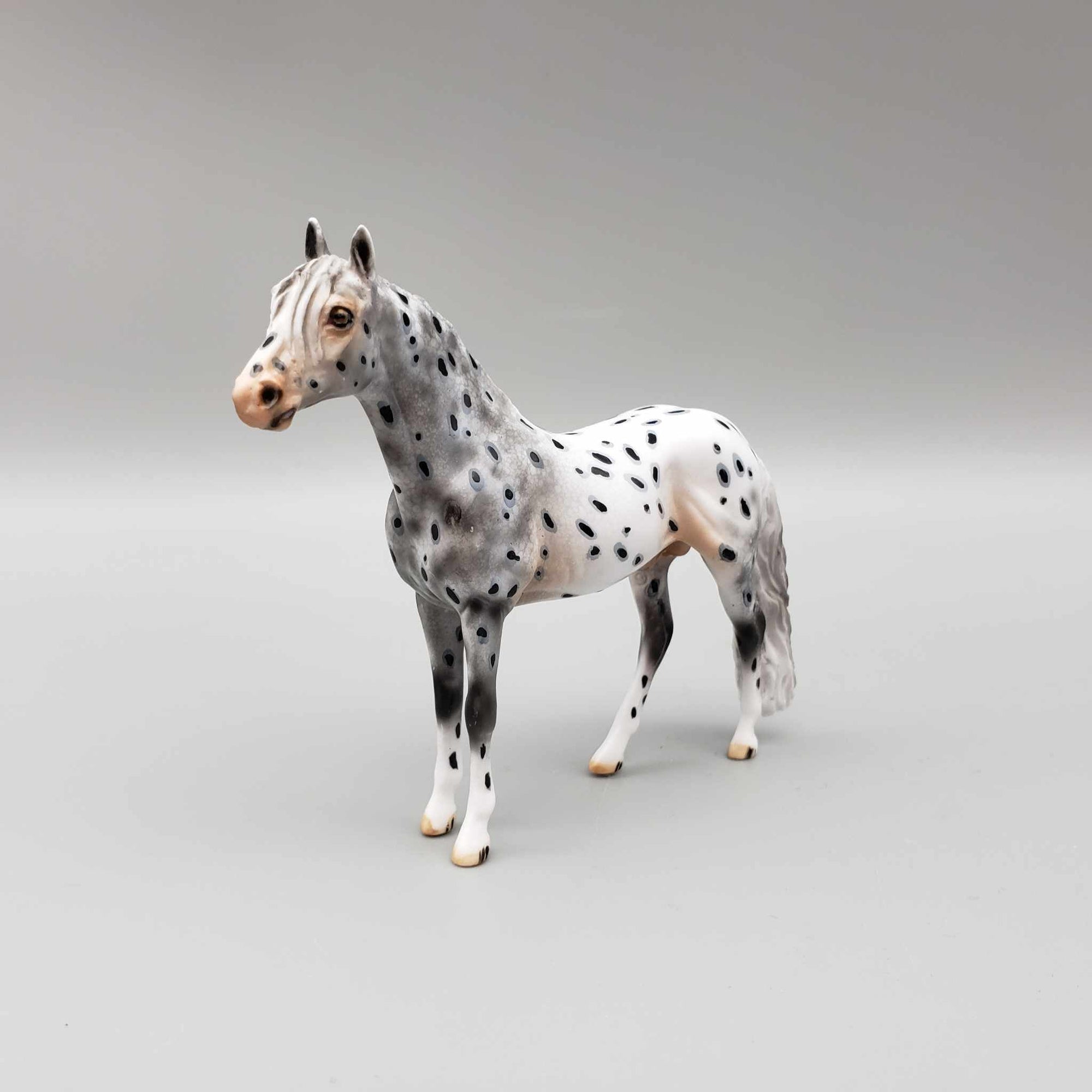Hernan OOAK Black Leopard Appaloosa W/Pink Nose Andalusian Chip By Dawn Quick Moonlight Madness 2023 MM23