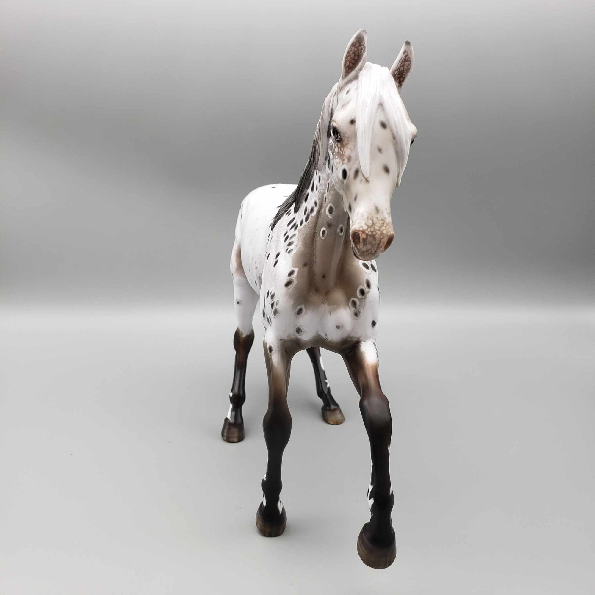 Zhabeau OOAK Bay Appaloosa Arab Mare By Myla Pearce Best Offers 10/16/23