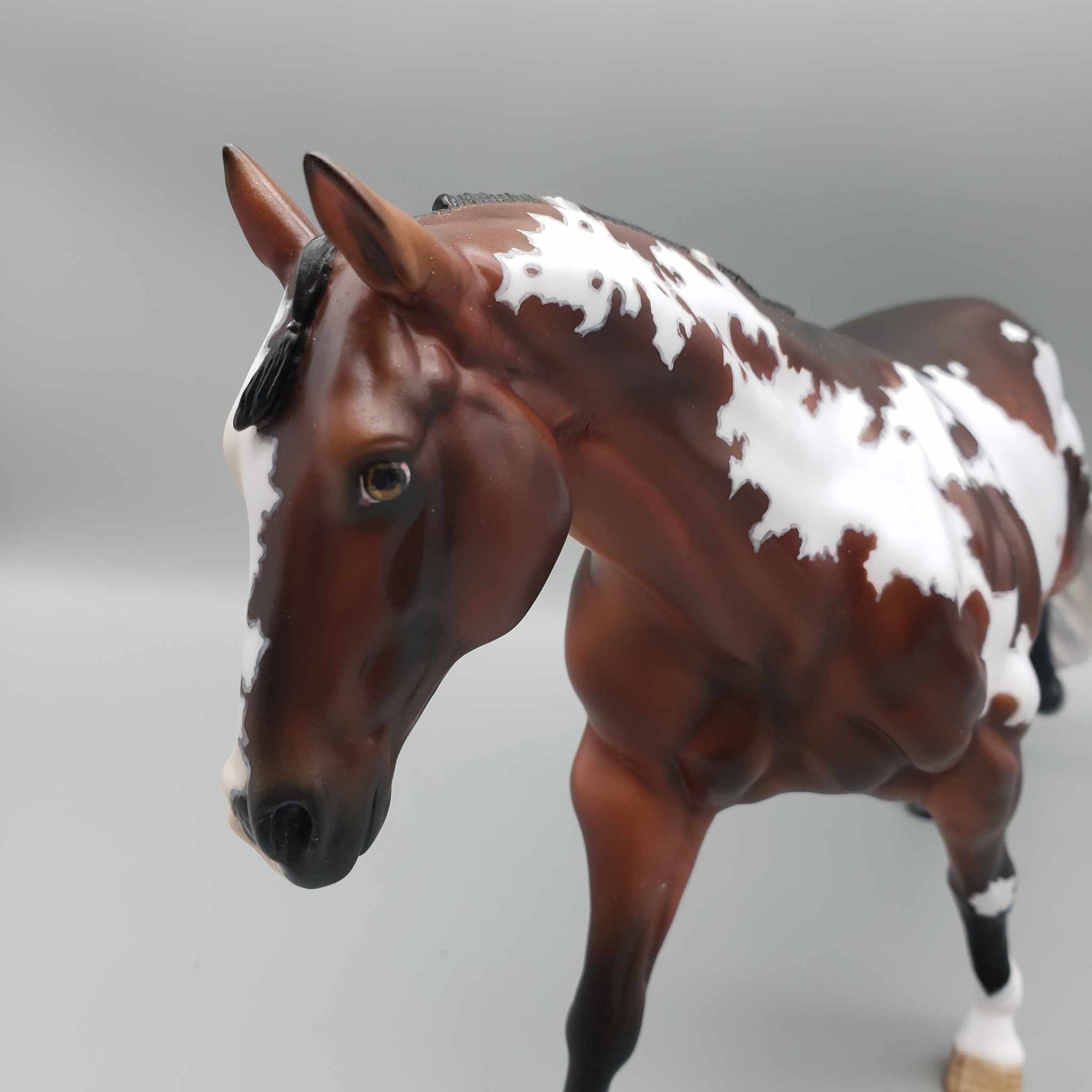 Split Personality OOAK Dappled Bay Overo Running Stock Horse By Myla Pearce Best Offers 10/16/23