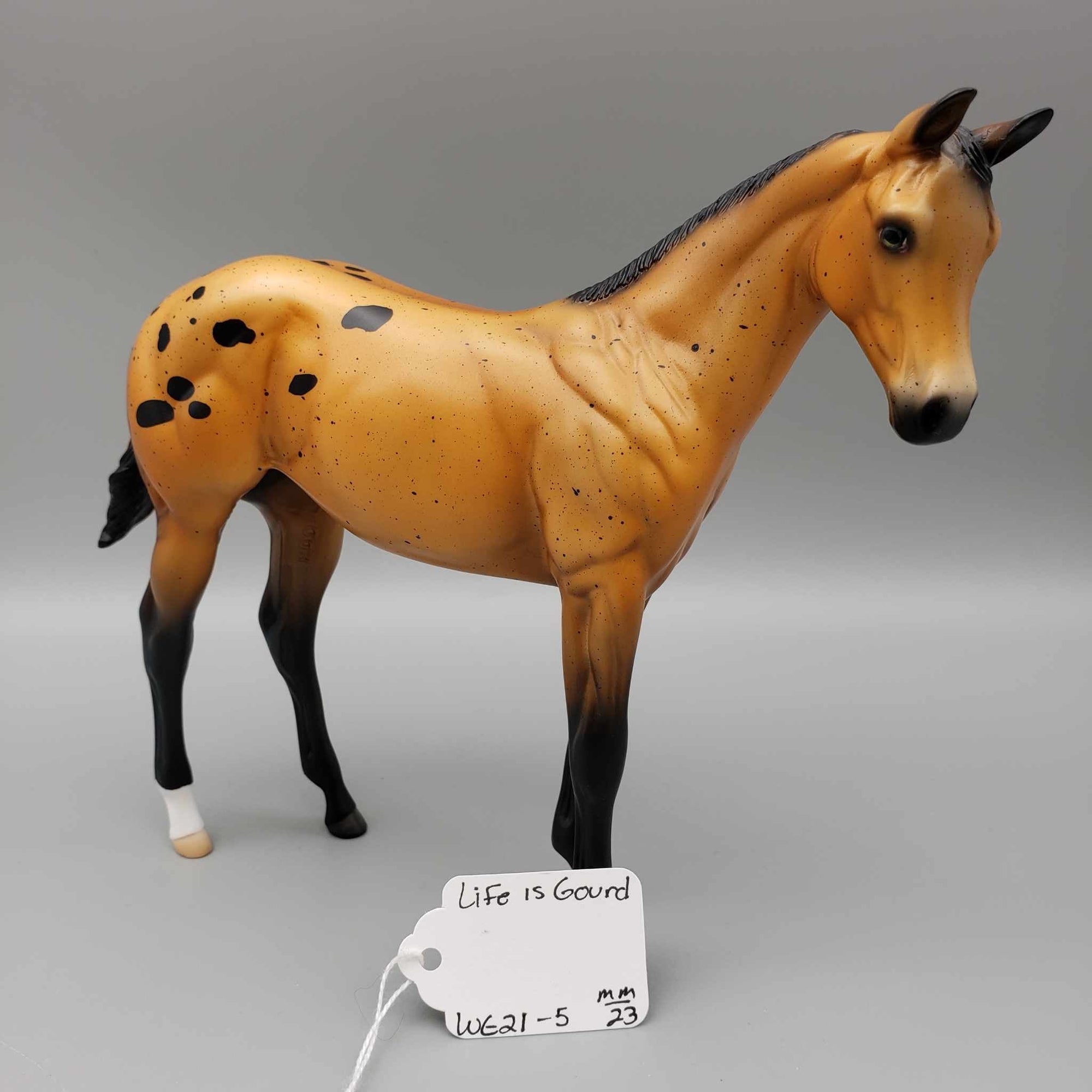 Life Is Gourd OOAK Halloween Deco Orange Appaloosa Weanling Pebble By Angela Marleau Moonlight Madness 2023 MM23