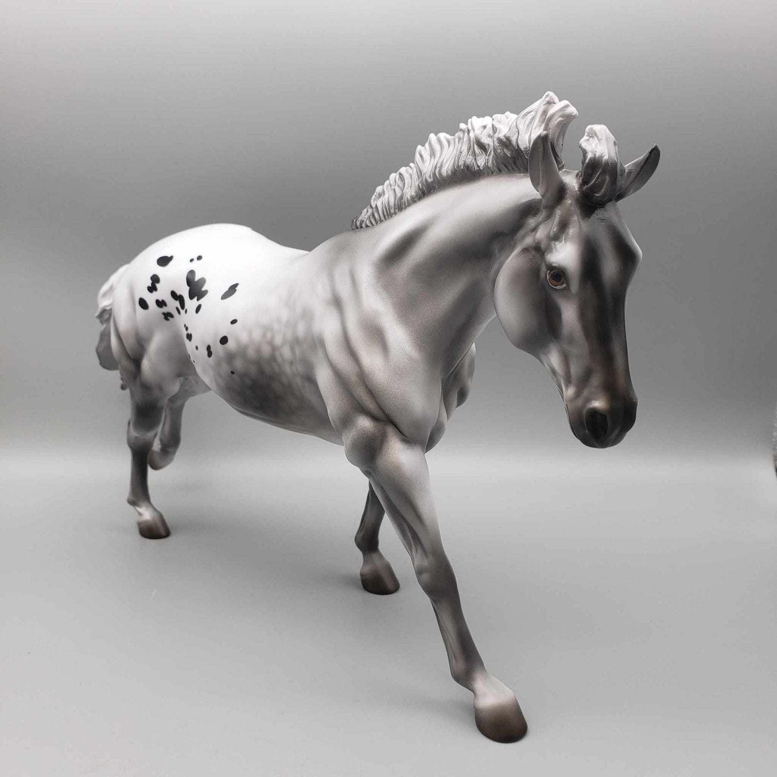 Tannenbaum OOAK Dappled Black Varnish Appaloosa Remington W/ Short Mane By Jess Hamill Holiday Sale HS23