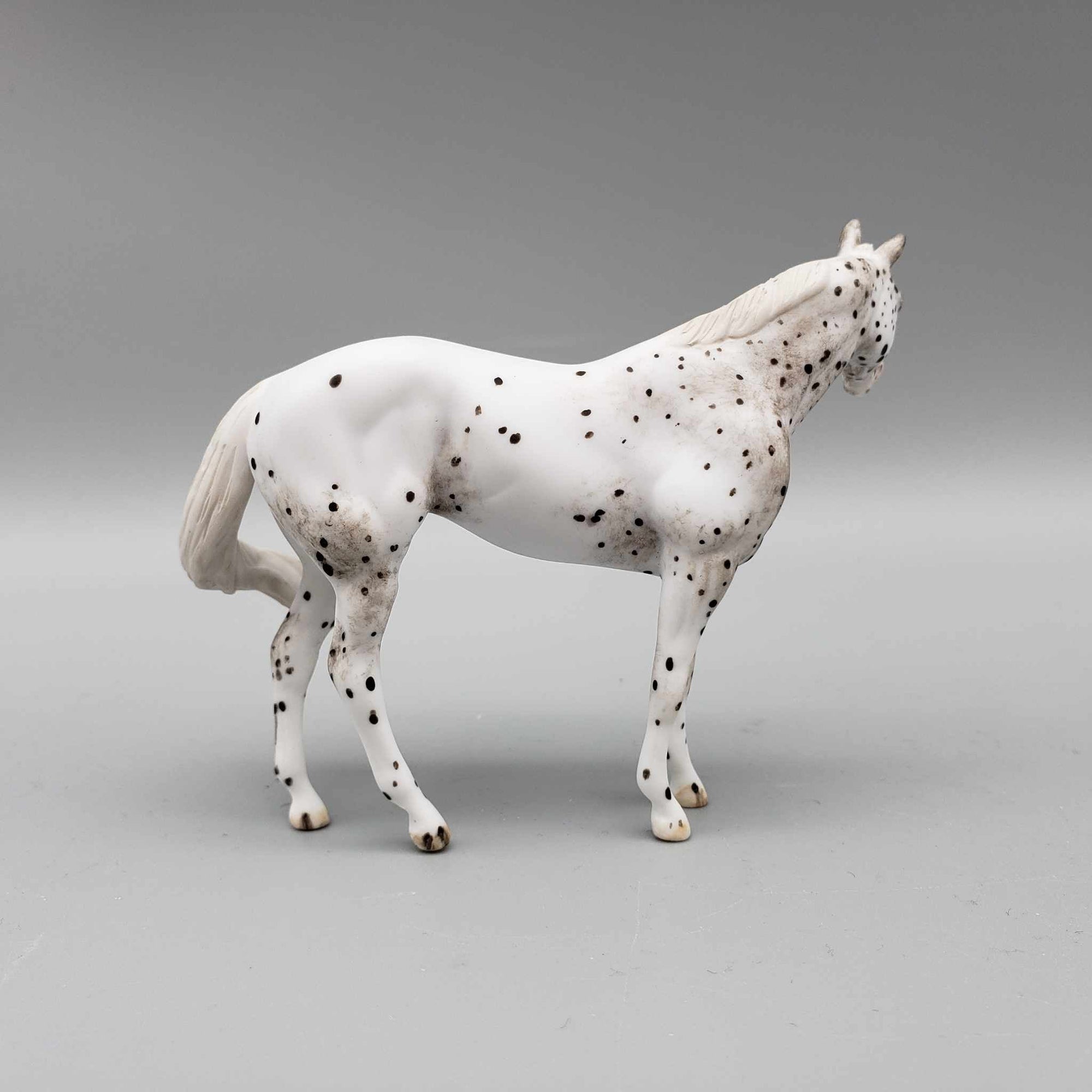 Semary OOAK Gray Leopard Appaloosa Custom Stock Chip By Andrea Thomason Holiday Sale HS23