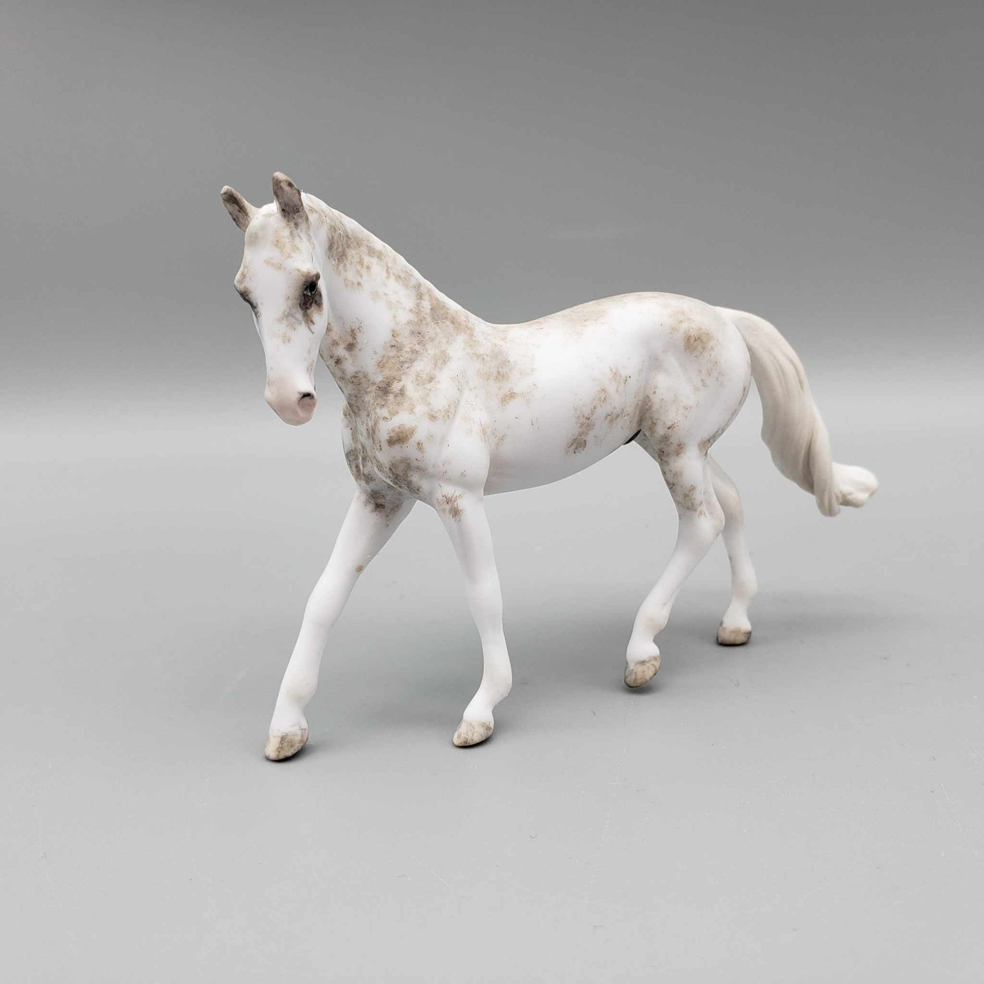 Ellison OOAK Custom Gray Sabino Warmblood Chip By Andrea Thomason Holiday Sale HS23
