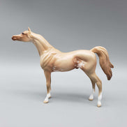 Dreams of the Future OOAK Champagne Sabino Arabian Chip By Jess Hamill New Year Sales Collection NY23