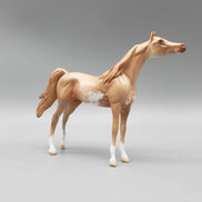 Dreams of the Future OOAK Champagne Sabino Arabian Chip By Jess Hamill New Year Sales Collection NY23