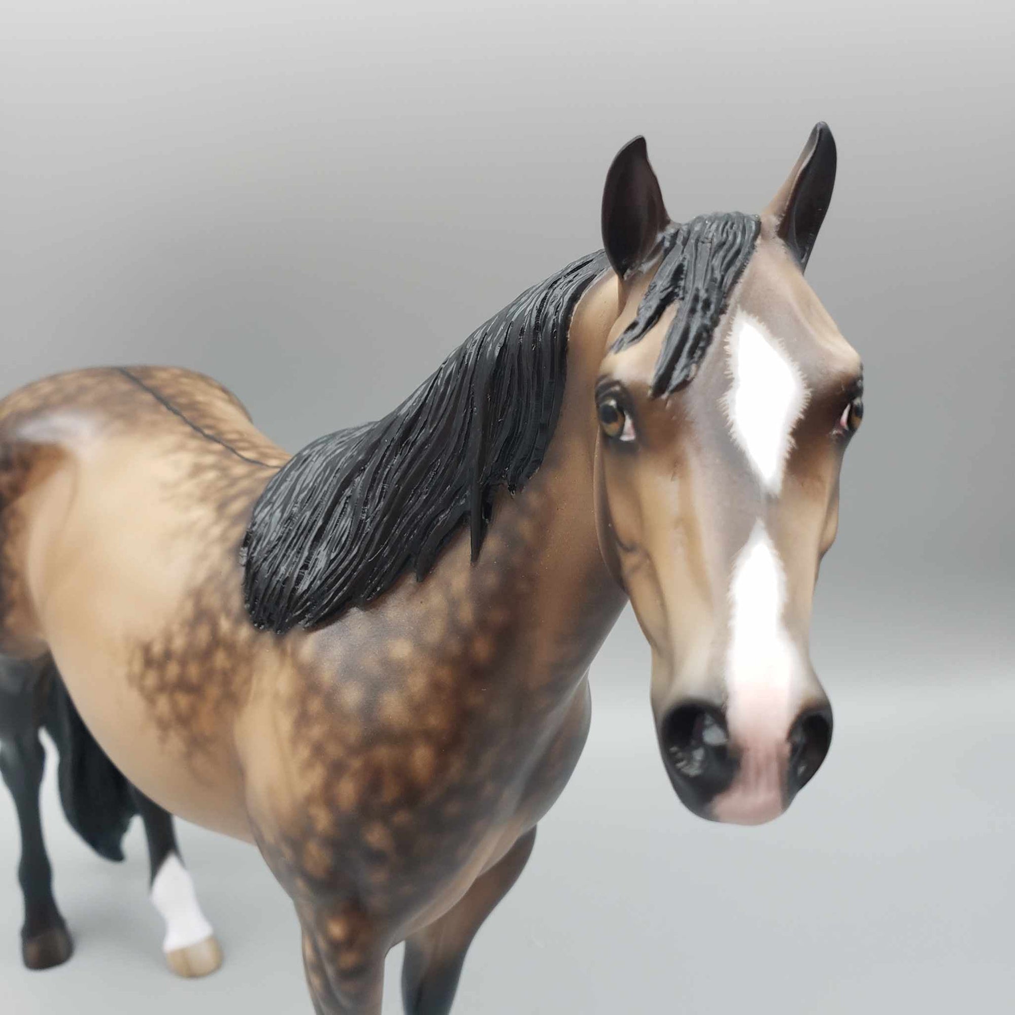 Cyclone OOAK Buckskin ISH By Sheryl Leisure Best Offers 10/23/23