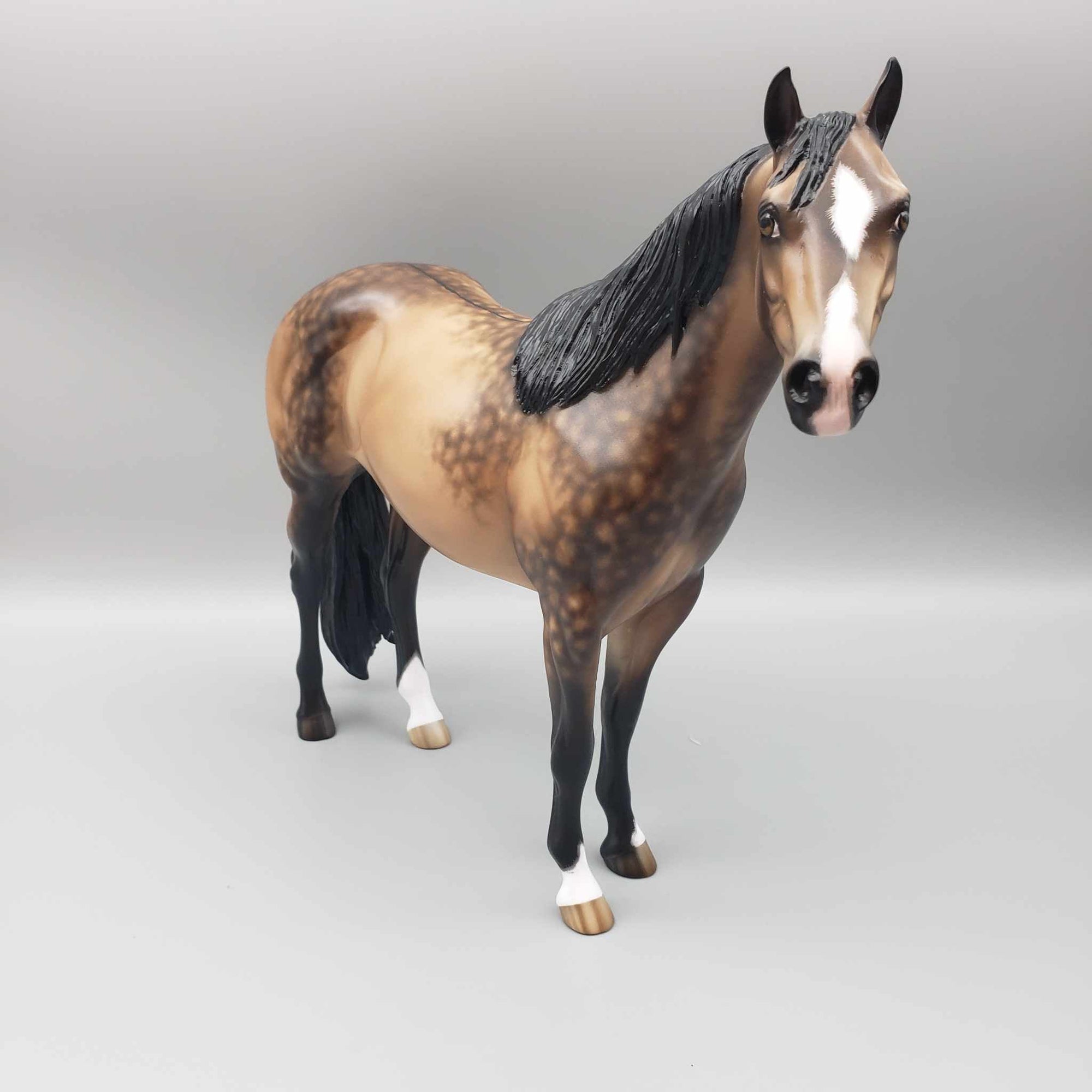 Cyclone OOAK Buckskin ISH By Sheryl Leisure Best Offers 10/23/23