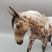 Snownado OOAK Appaloosa Mule By Sheryl Leisure Best Offers 12/4/23