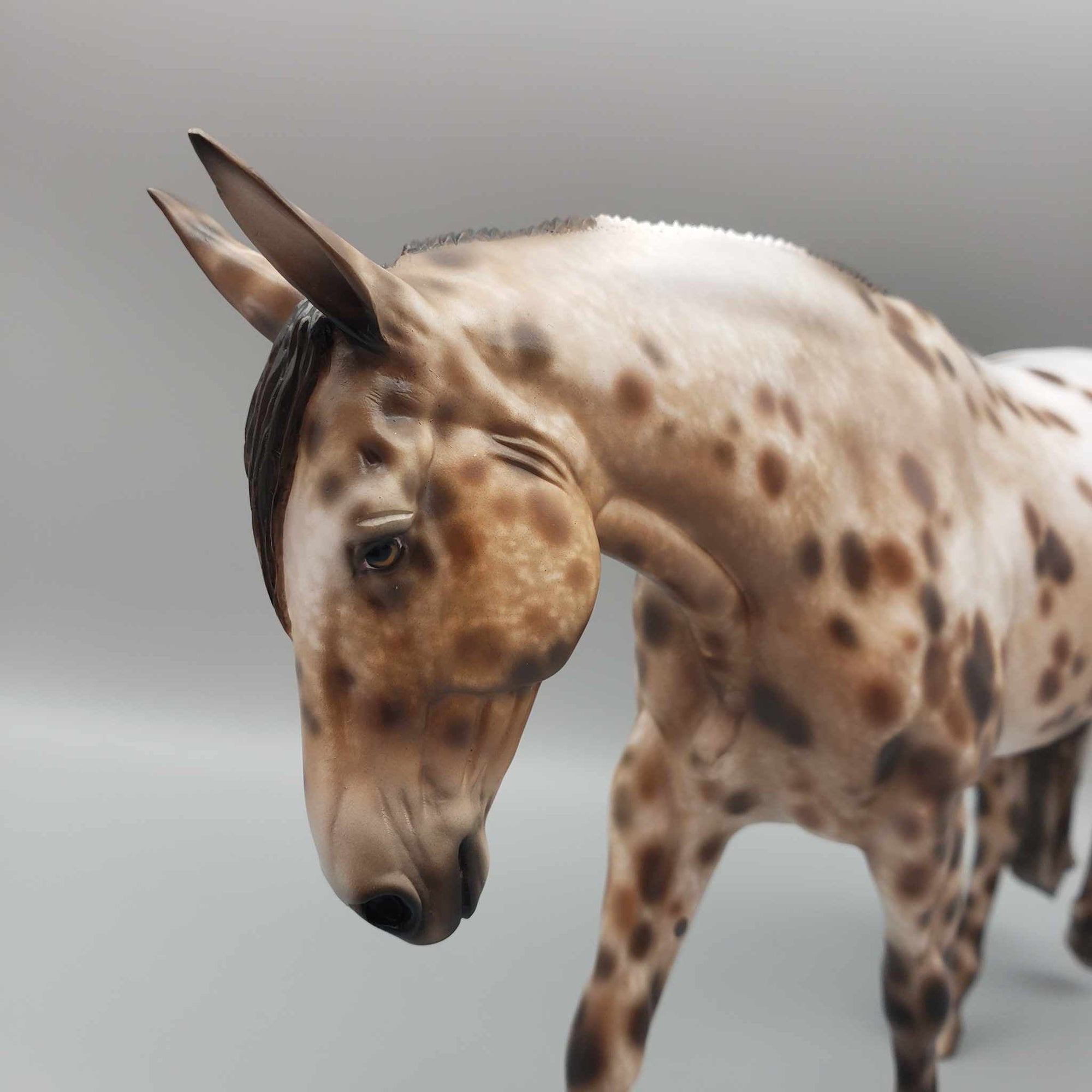 Snownado OOAK Appaloosa Mule By Sheryl Leisure Best Offers 12/4/23